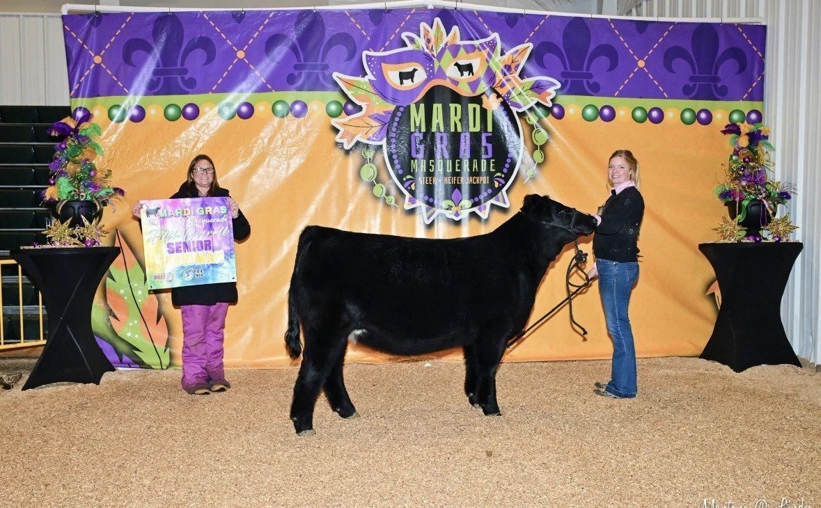 A girl holding a black cow at a Mardi Gras masquerade event with colorful decorations and a festive backdrop.