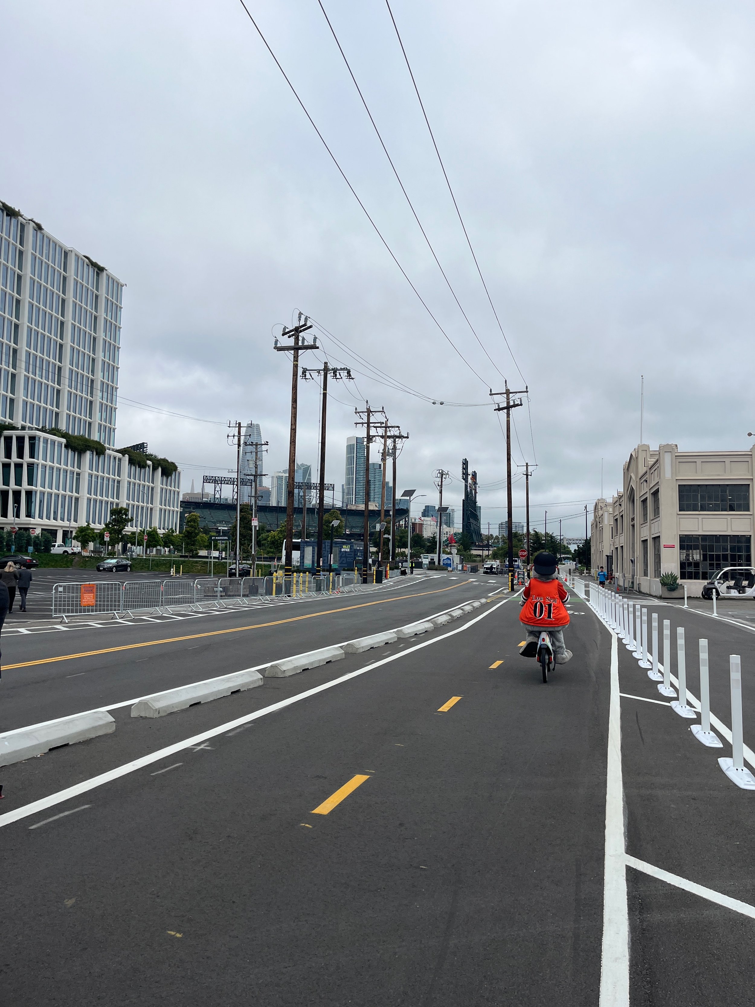 Large-Venue Access & Parking Management Strategy