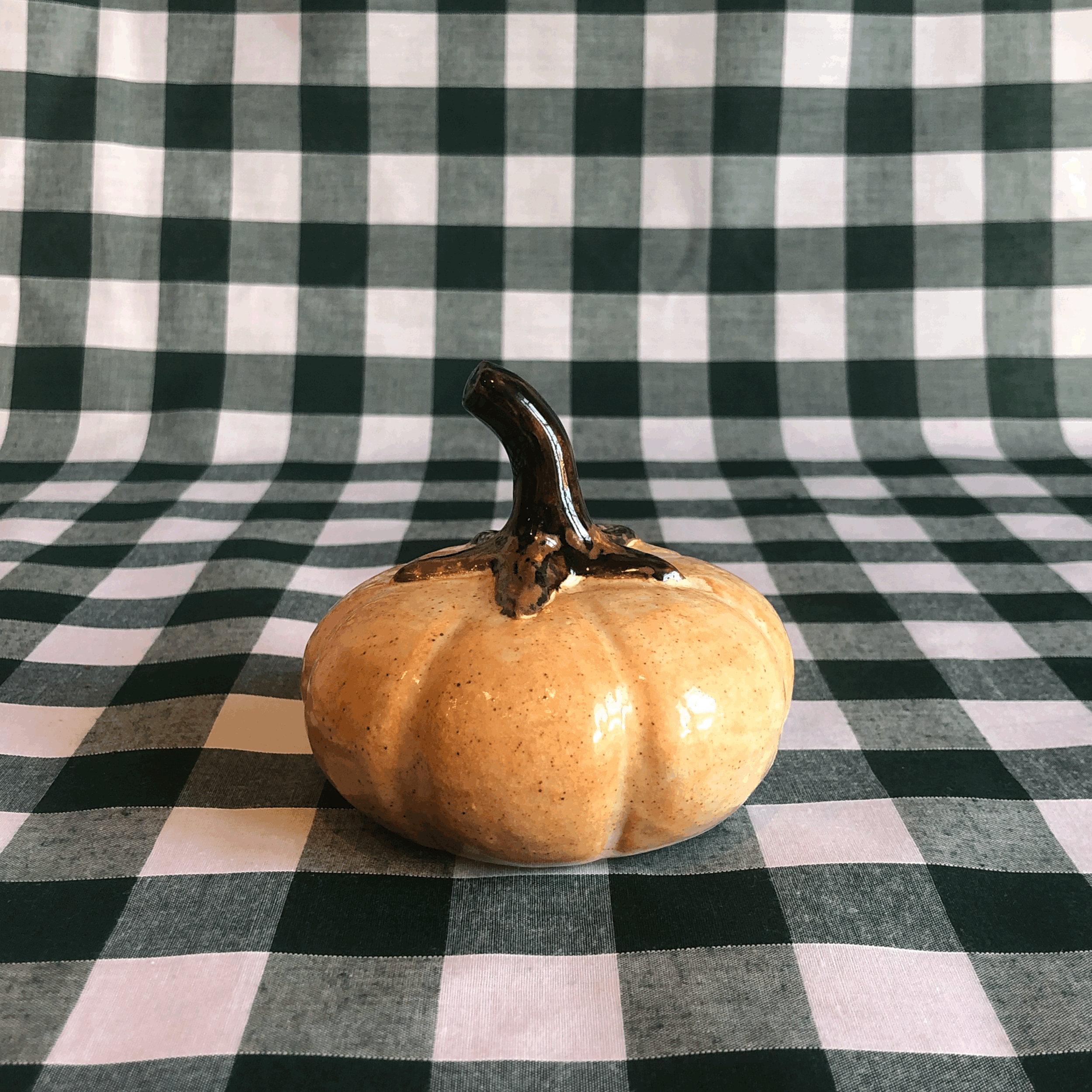 Perfect Pumpkin - Small