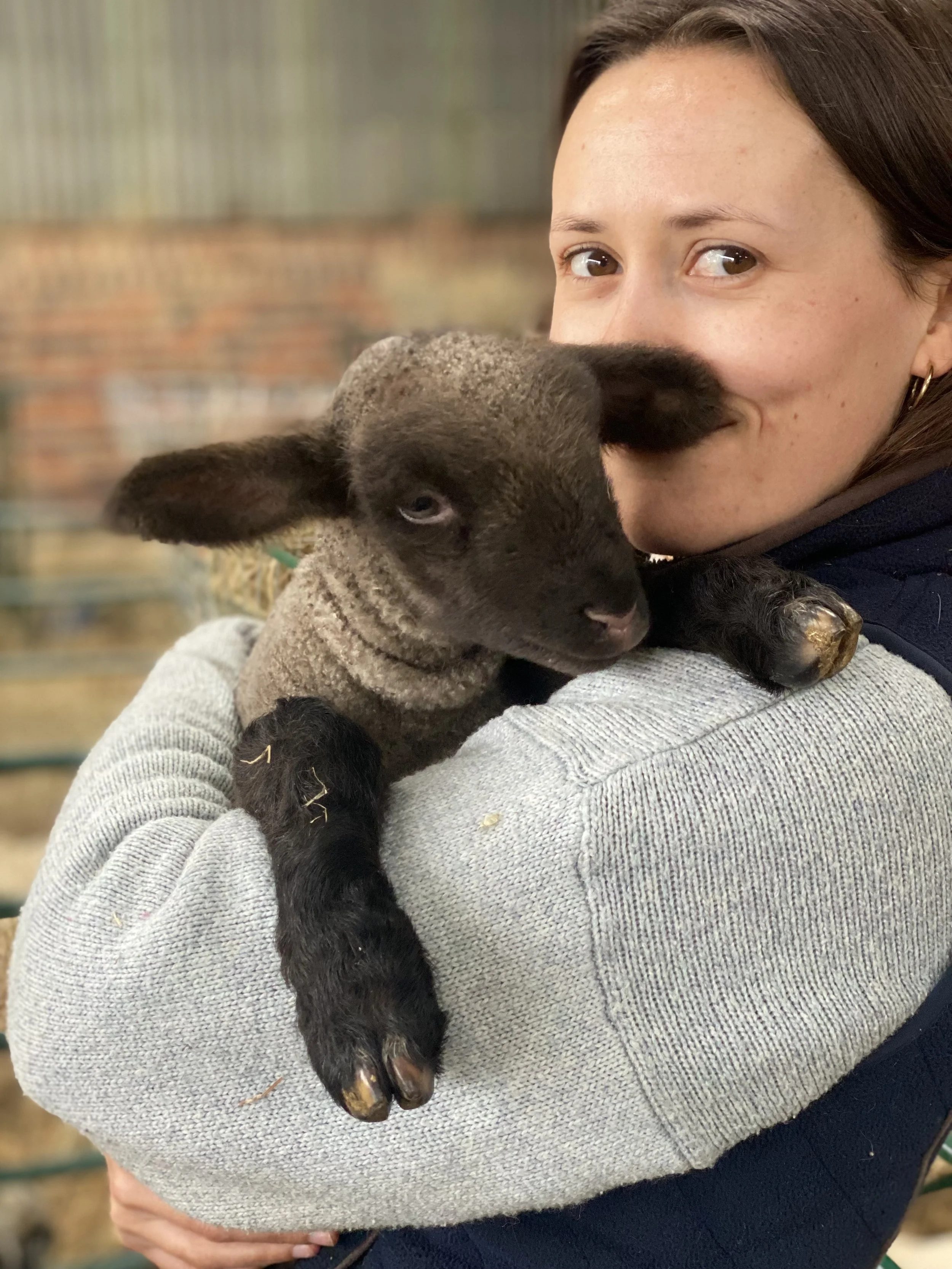 A woman holding a young black lamb in her arms.