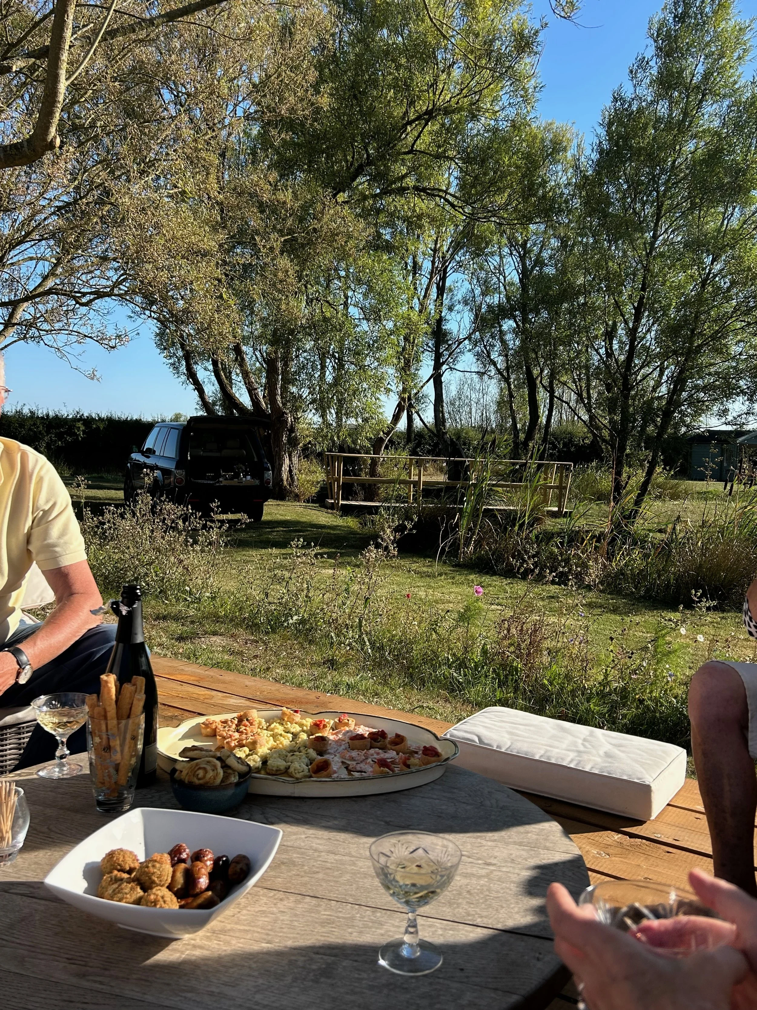 Outdoor gathering with a wooden table filled with food, including a large platter of assorted appetizers and a white bowl with cookies and grapes, set in a lush backyard with trees, a blue sky, and a black vehicle parked nearby.
