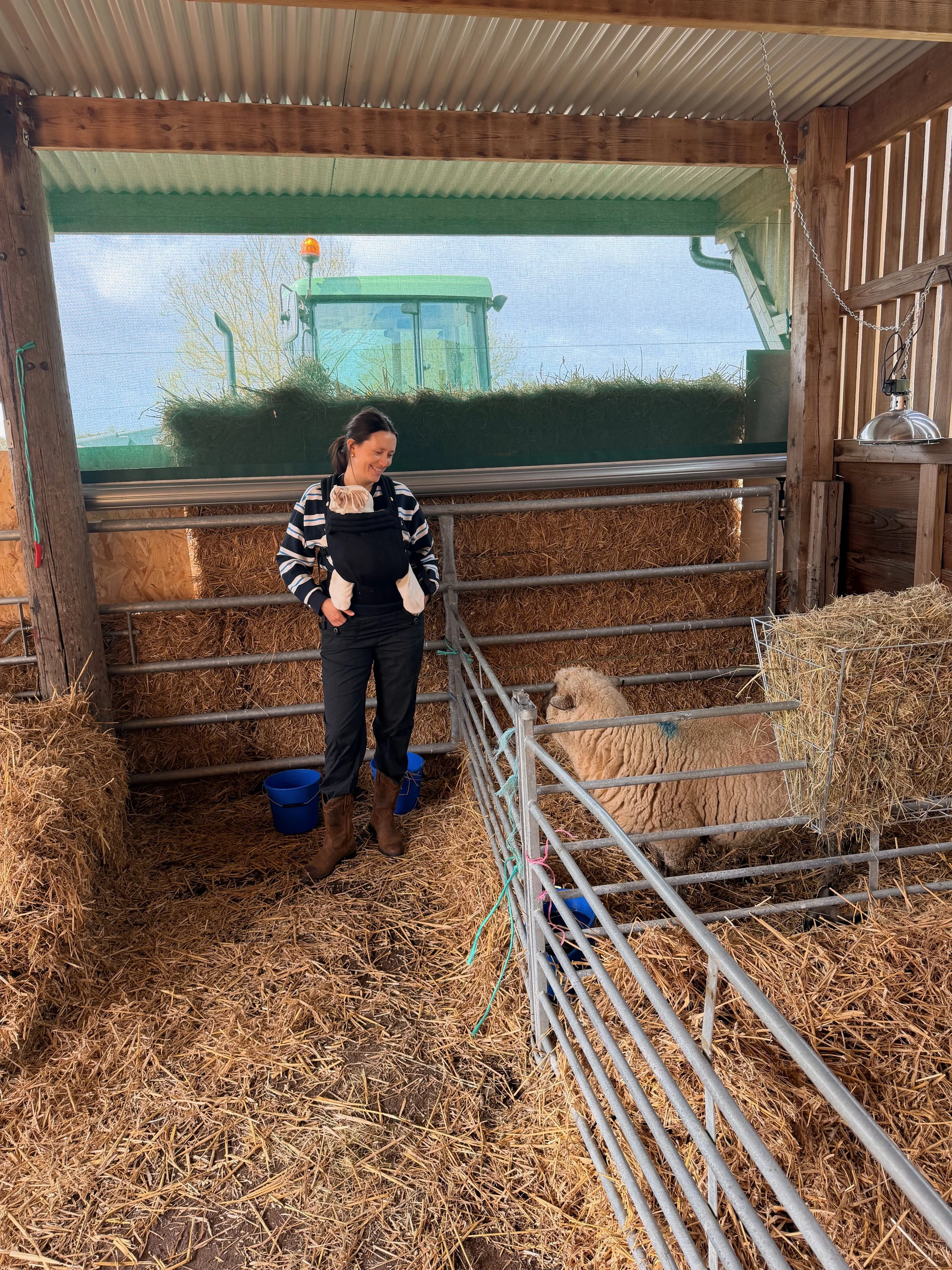 A woman standing inside a barn or shelter, smiling, with a sheep lying in a pen surrounded by hay, and a tractor visible outside through a mesh window.