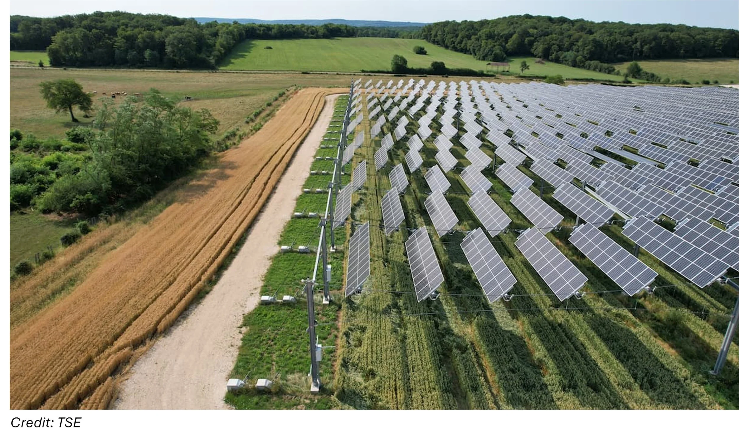 October 2024 - Astris congratulates its client TSE for successfully raising a 65m€ financing from Eiffel Investment Group