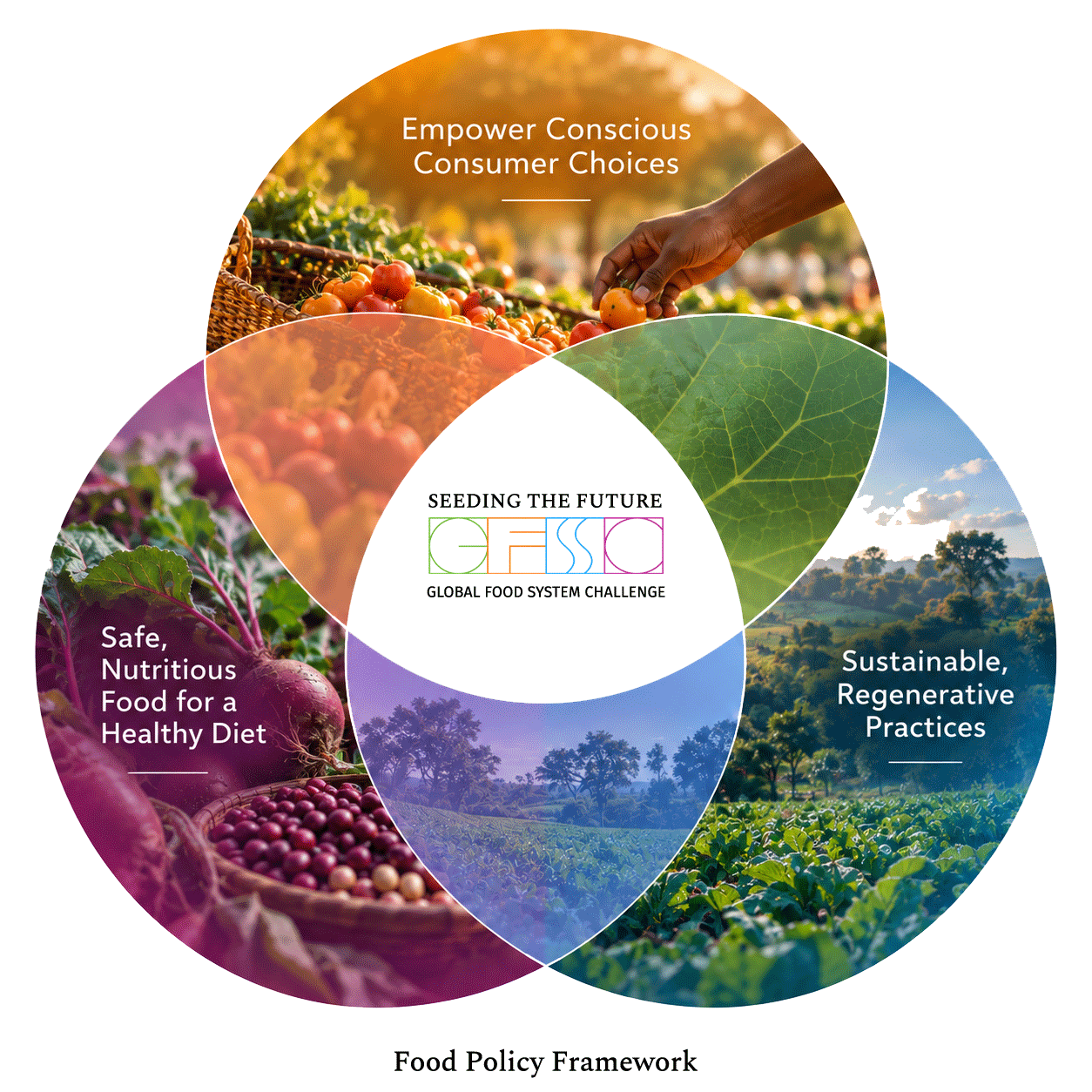 GFSC_STF_InfoGraphic