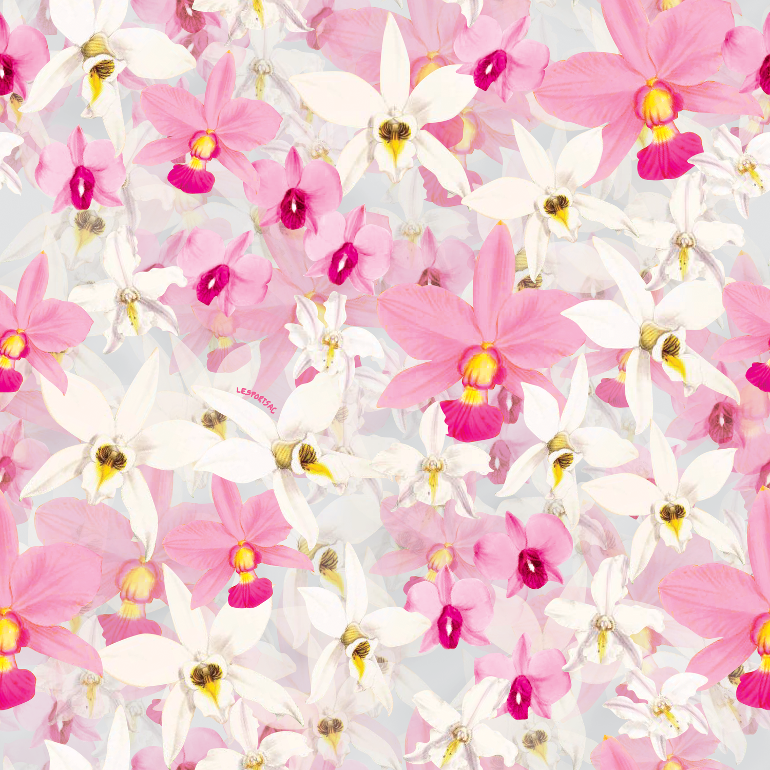 orchids.webp