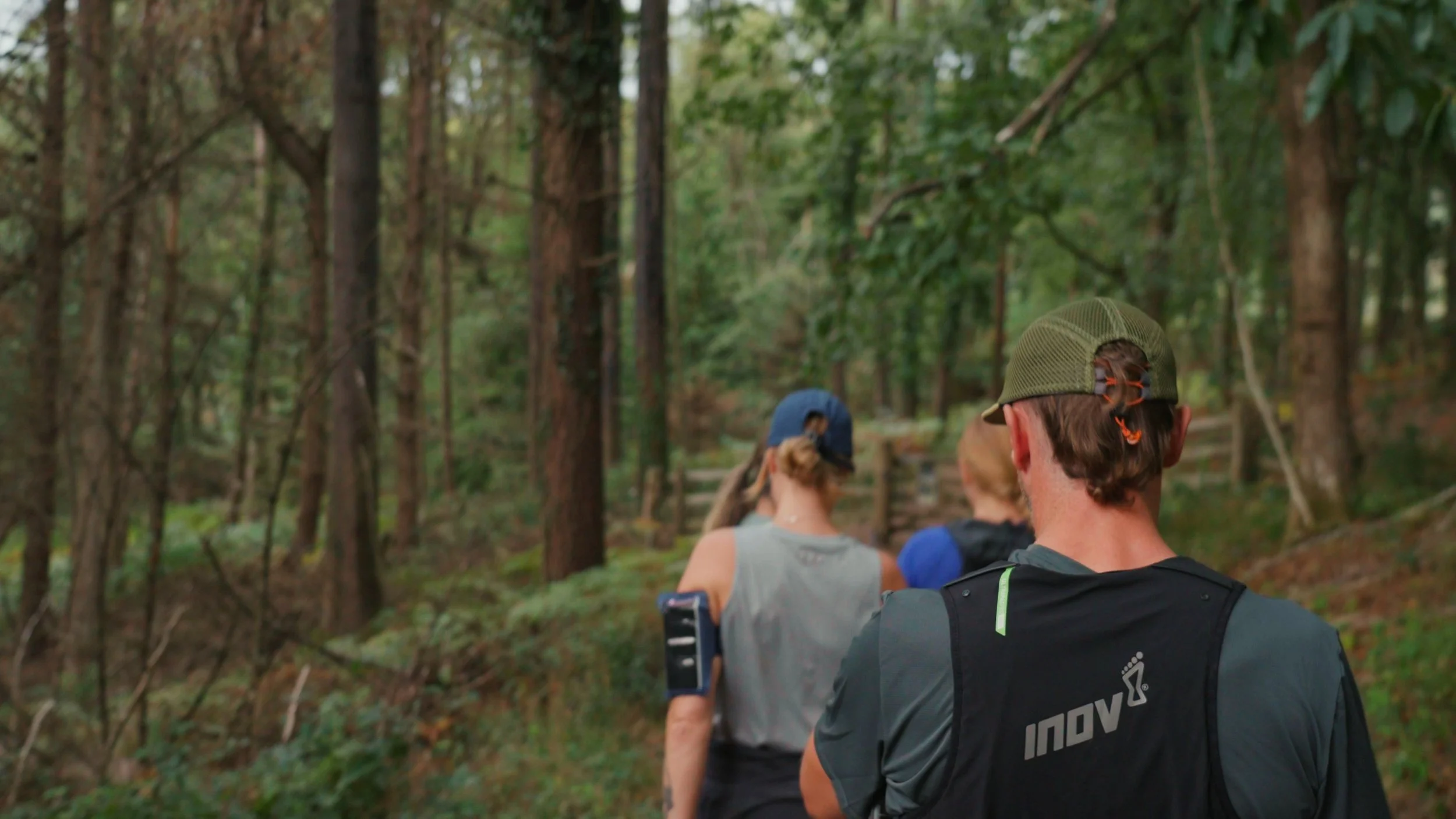 People hiking through a forest trail surrounded by tall trees and green foliage.