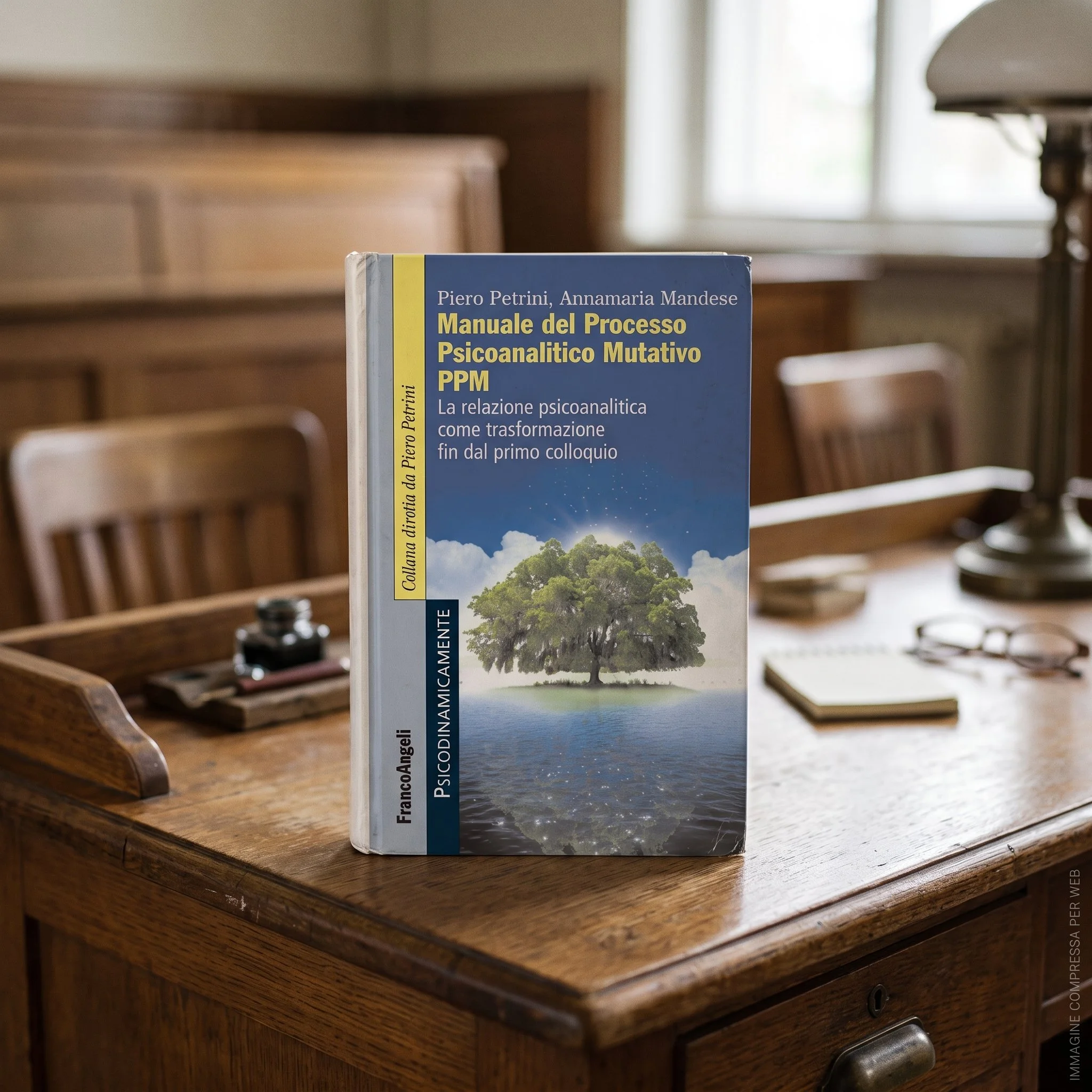 Libro intitolato 'Manuale del Processo Psicoanalitico Mutativo PPM' appoggiato su un tavolo di legno in una stanza ben illuminata con una finestra sullo sfondo e sedie di legno intorno.