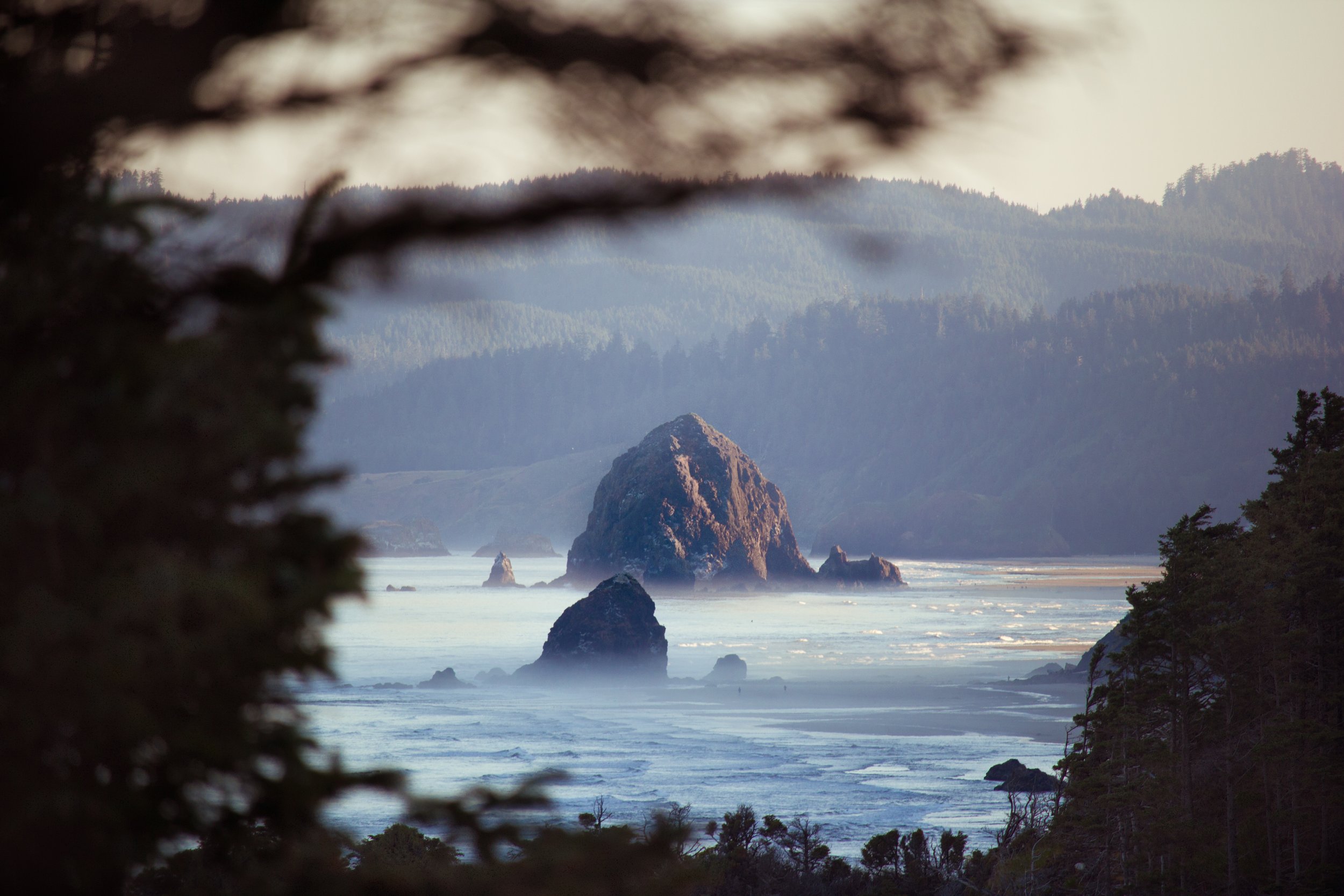 _MG_4672.jpg