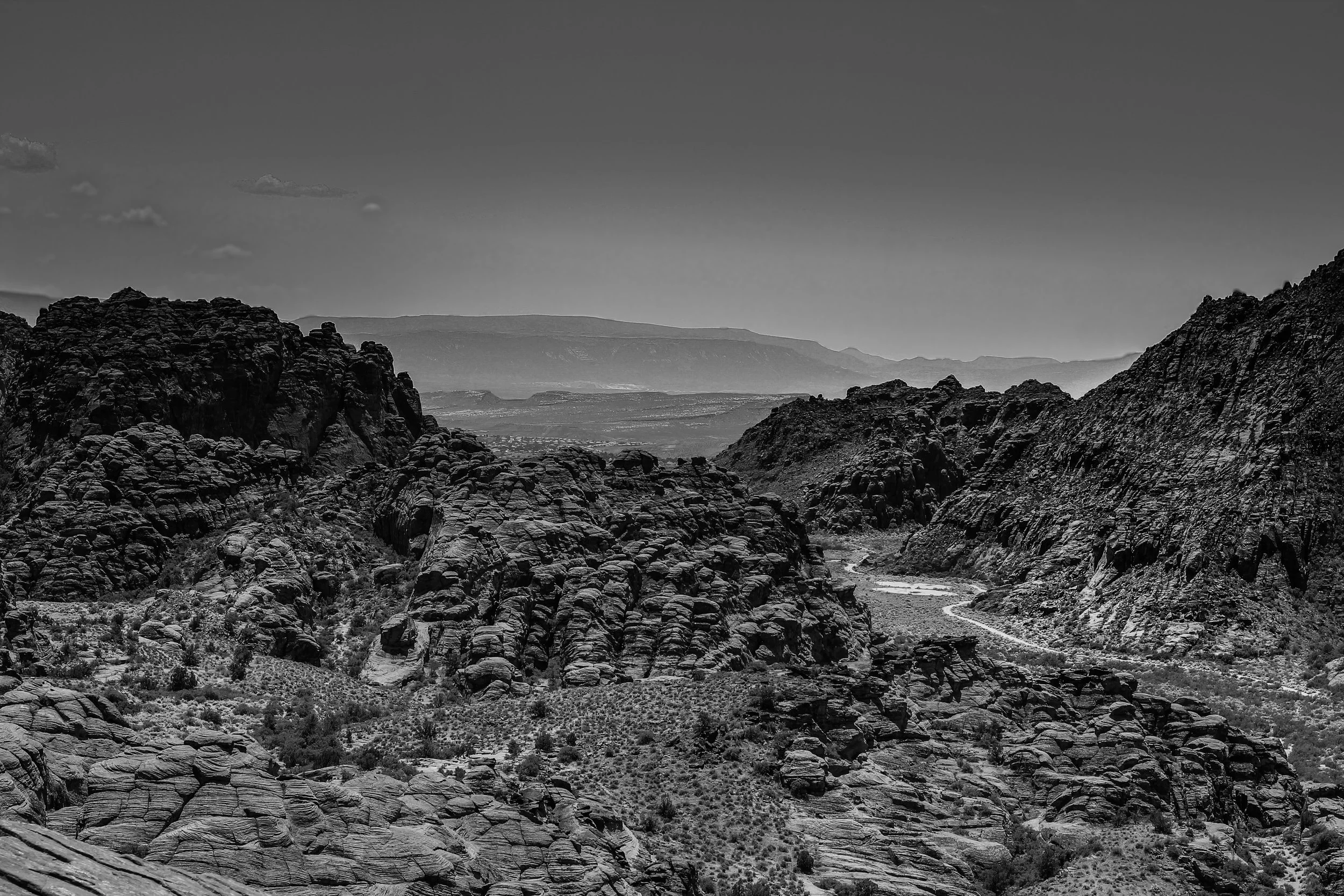 _MG_5932.jpg