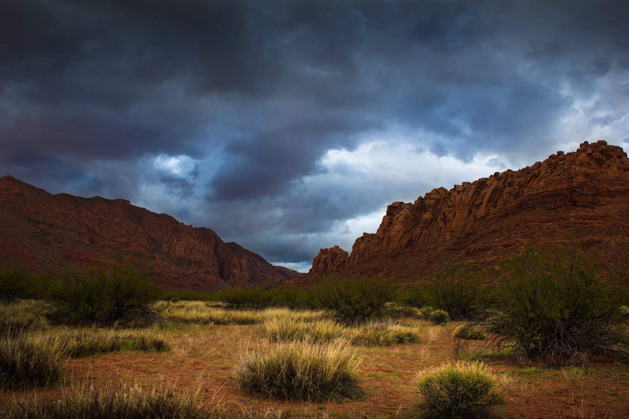 _MG_0482-HDR.jpg