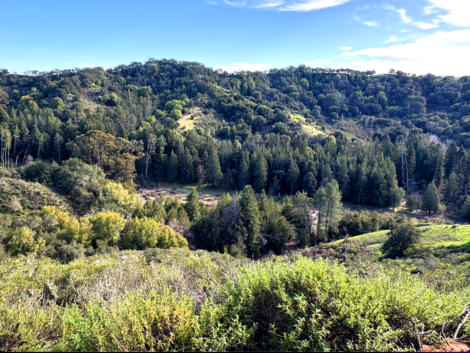 Russell viewed from above (valley floor at center)