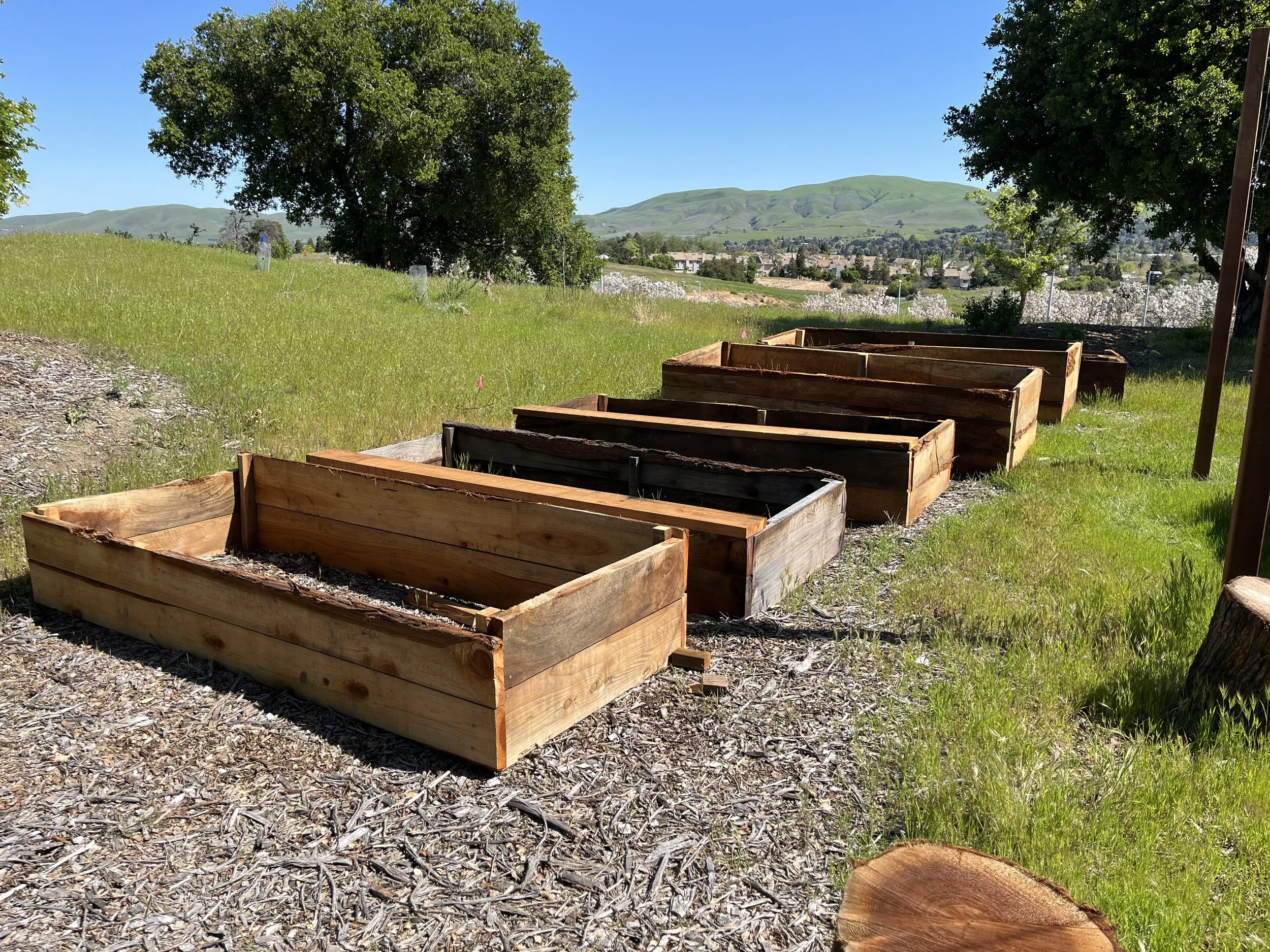Reclaimed wood planter boxes