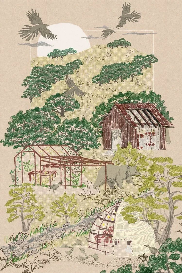 An illustrated scene of a future Ohlone land with trees, two sturctures, a greenhouse, a bear, birds flying, and the sun in the background.