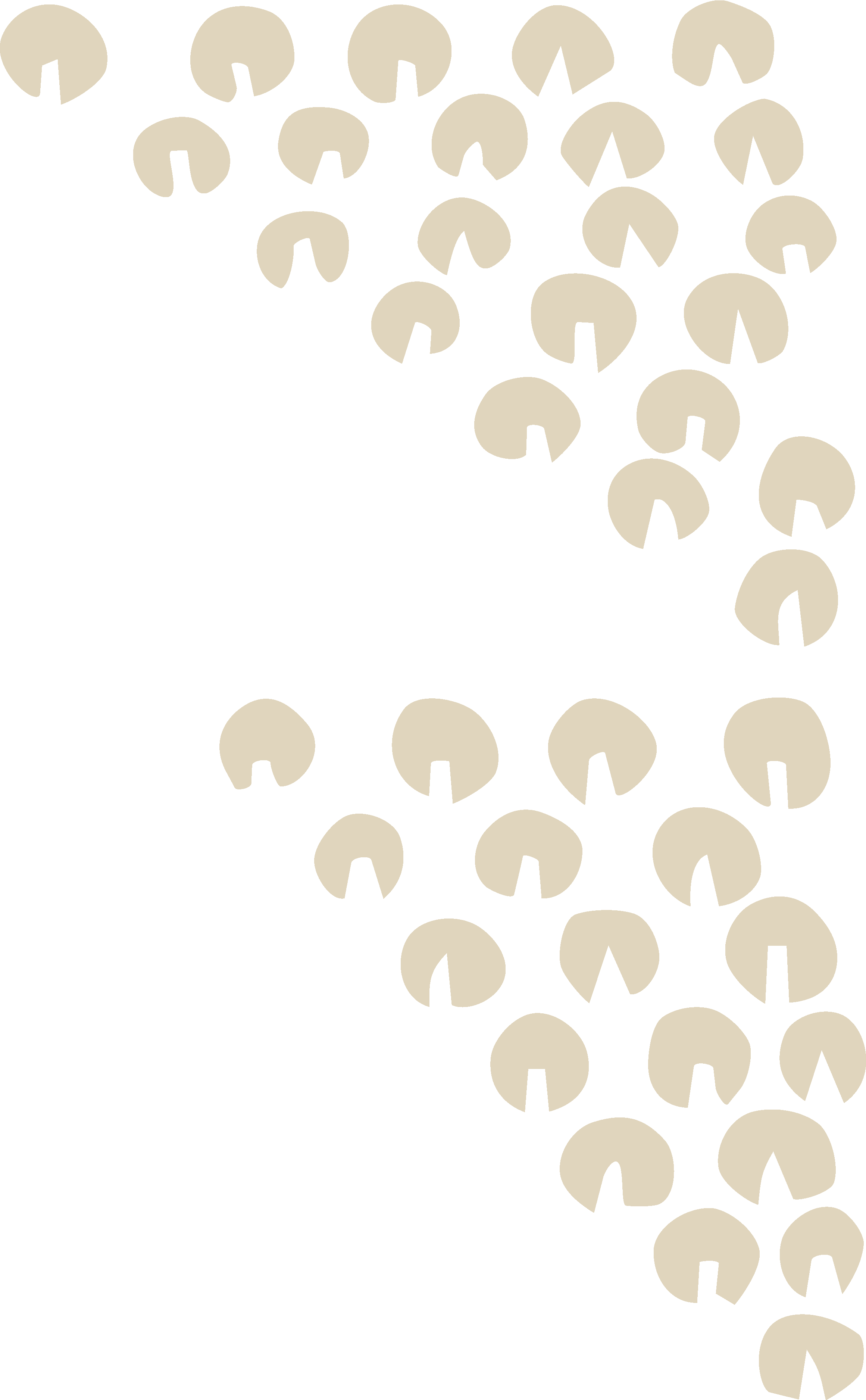 Ohlone decorative triangle element.