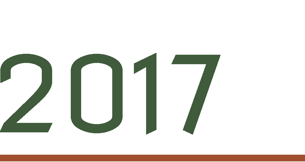 Year 2017 written in large green numbers with a small brown line beneath it.