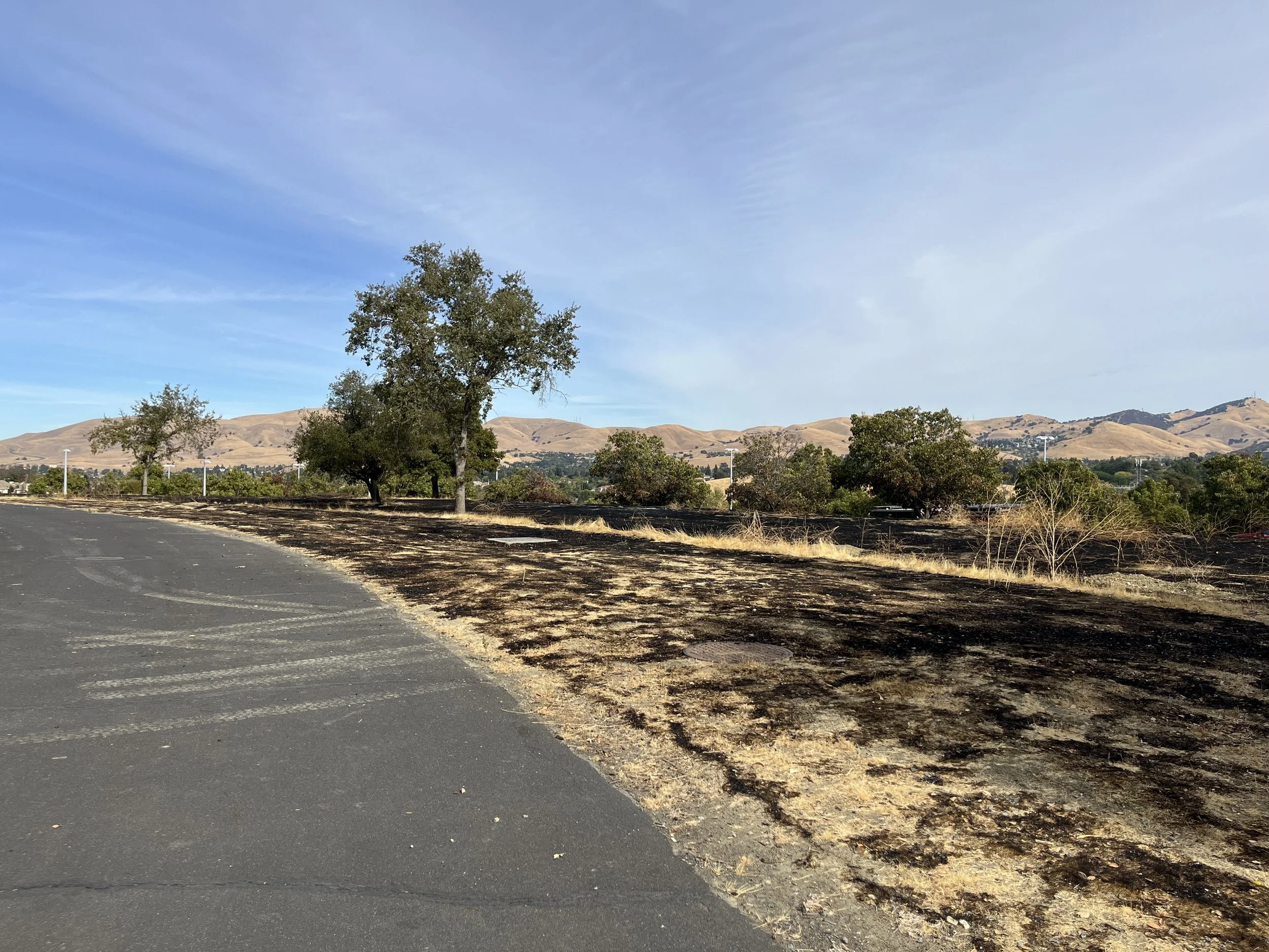 October burn area
