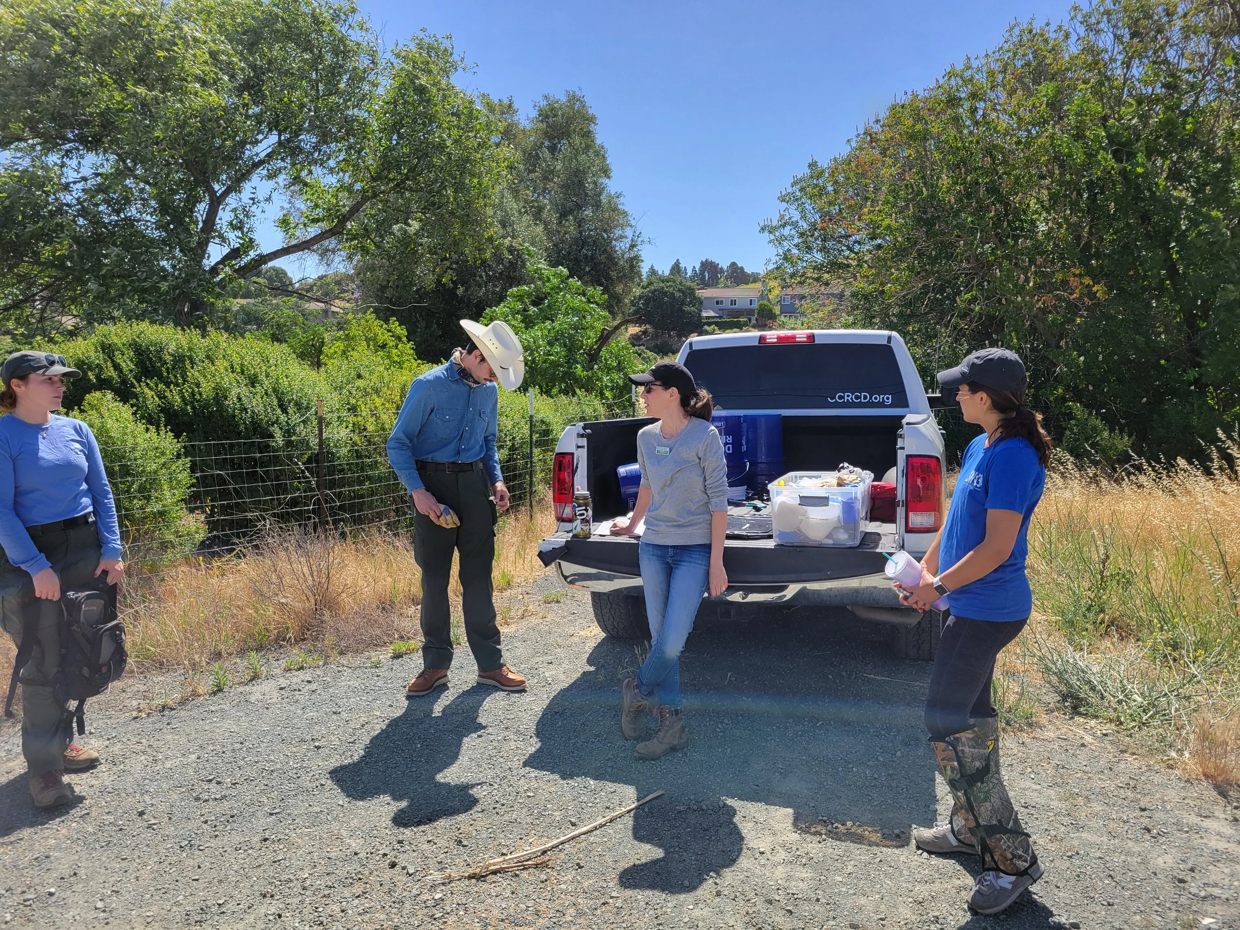 Creek clean up
