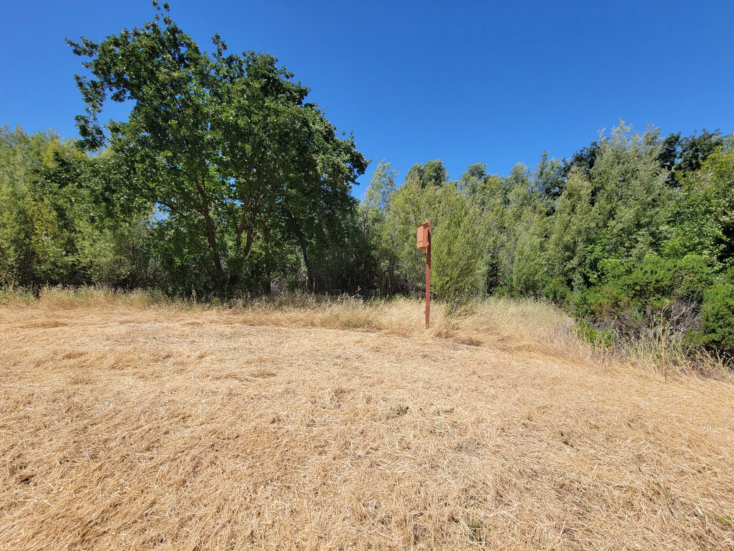 Bat box at creek