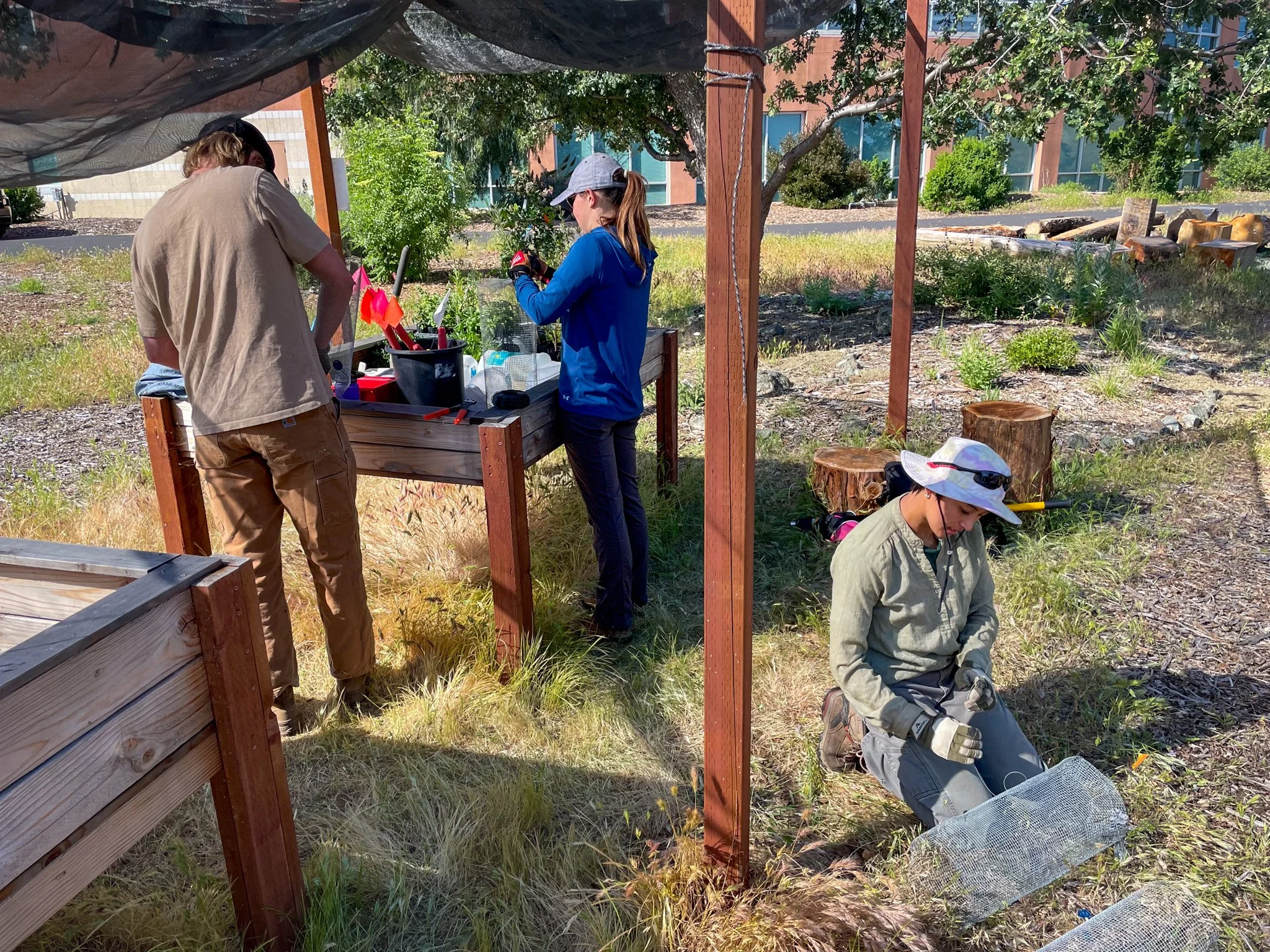 People working outdoors in a garden at a wooden structure, with some planting tools and equipment around.