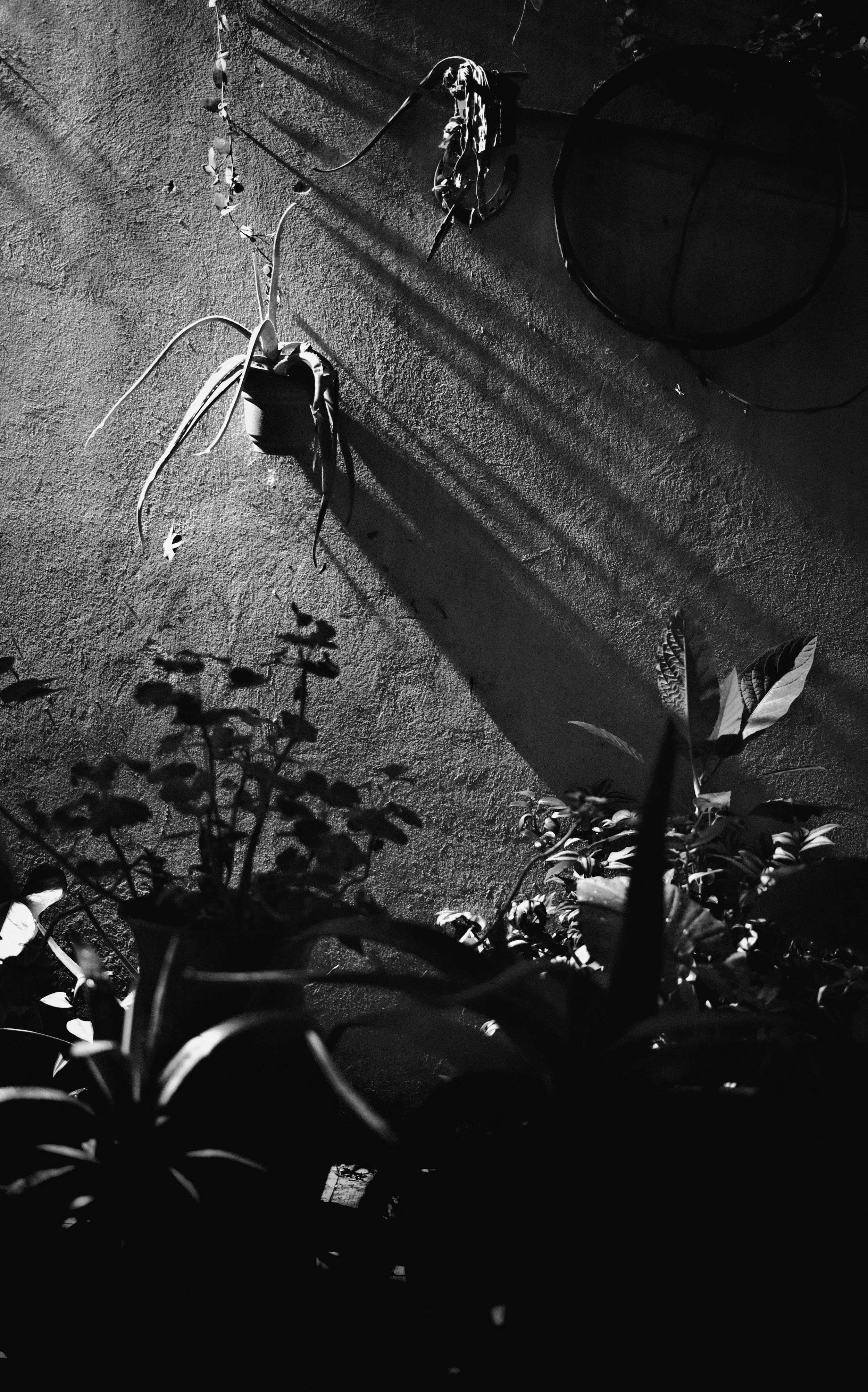 DSCF5894.jpg