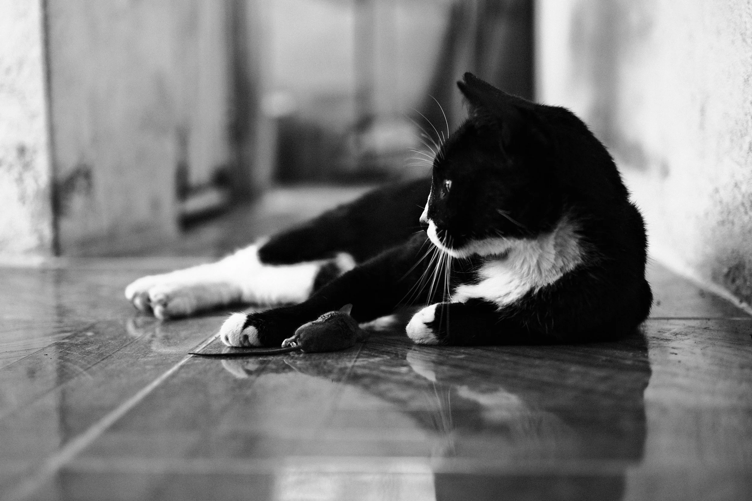 DSCF5911.jpg