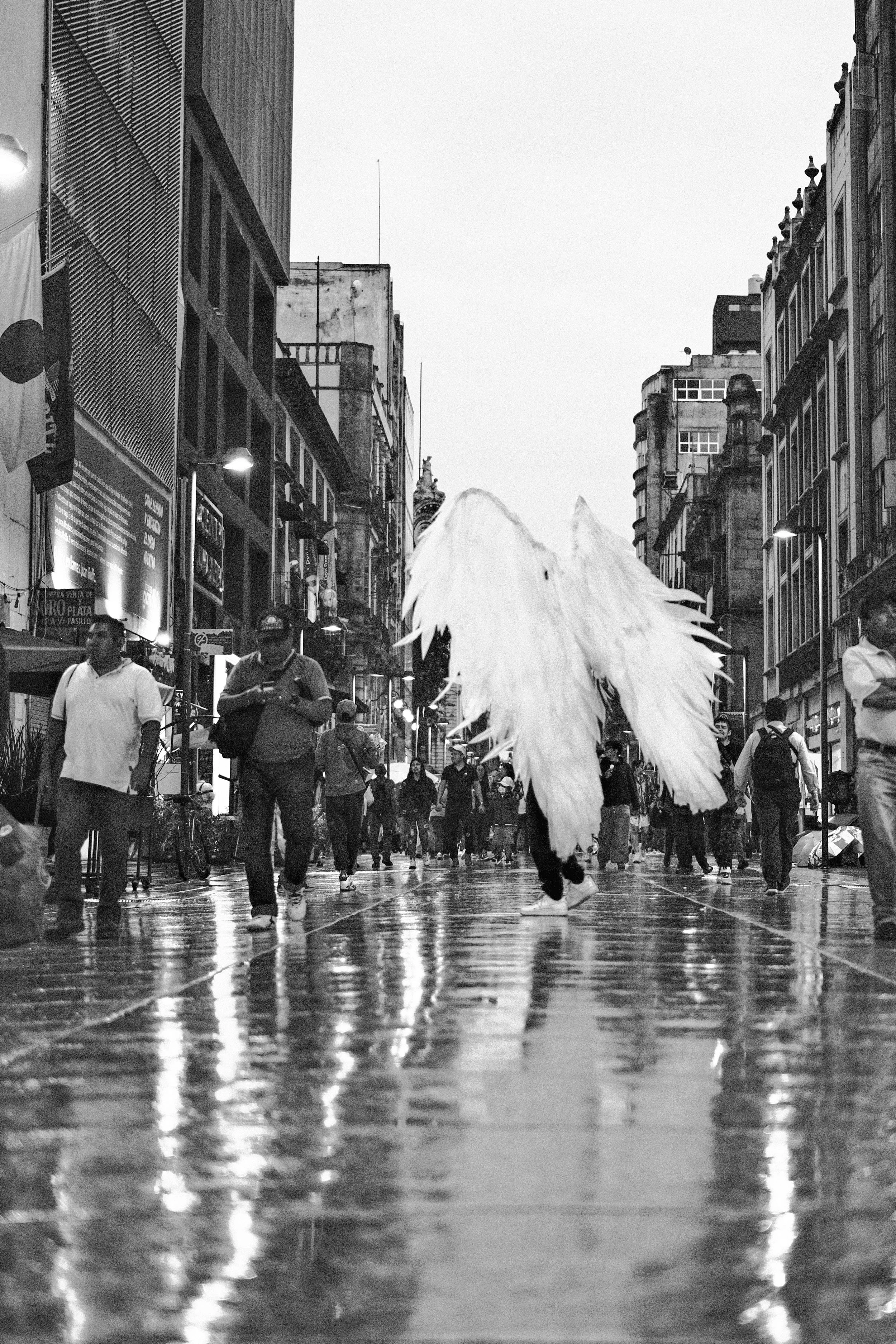 DSCF5549.jpg