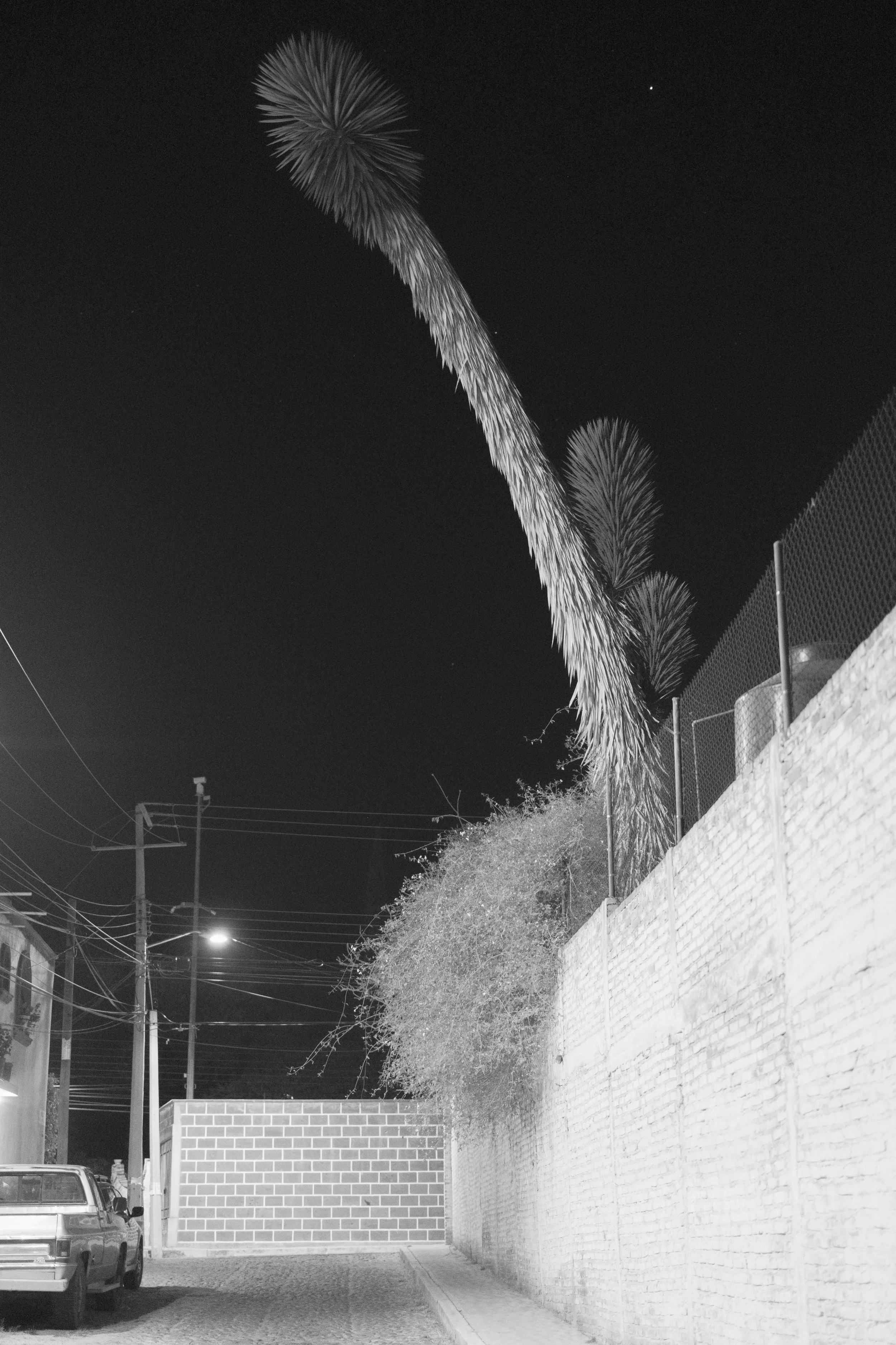 DSCF3665.jpg