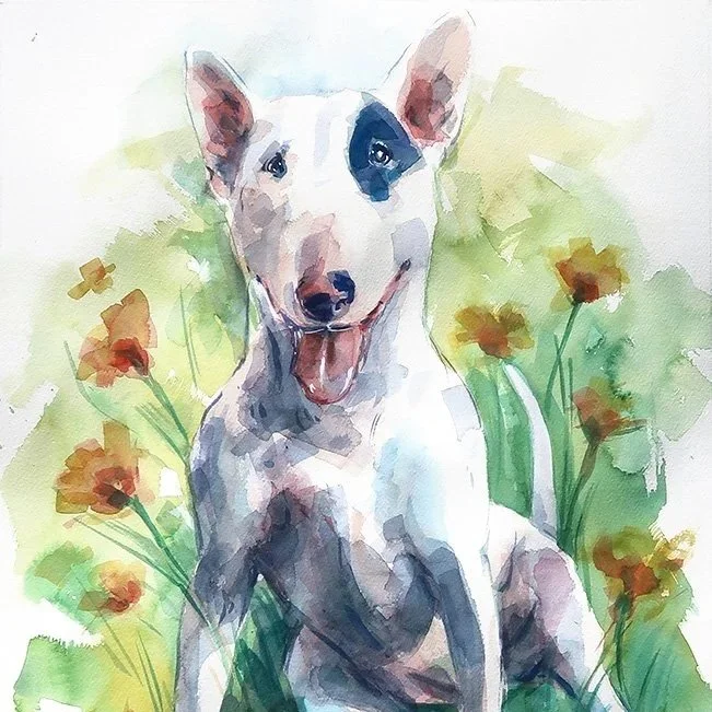 Portraits