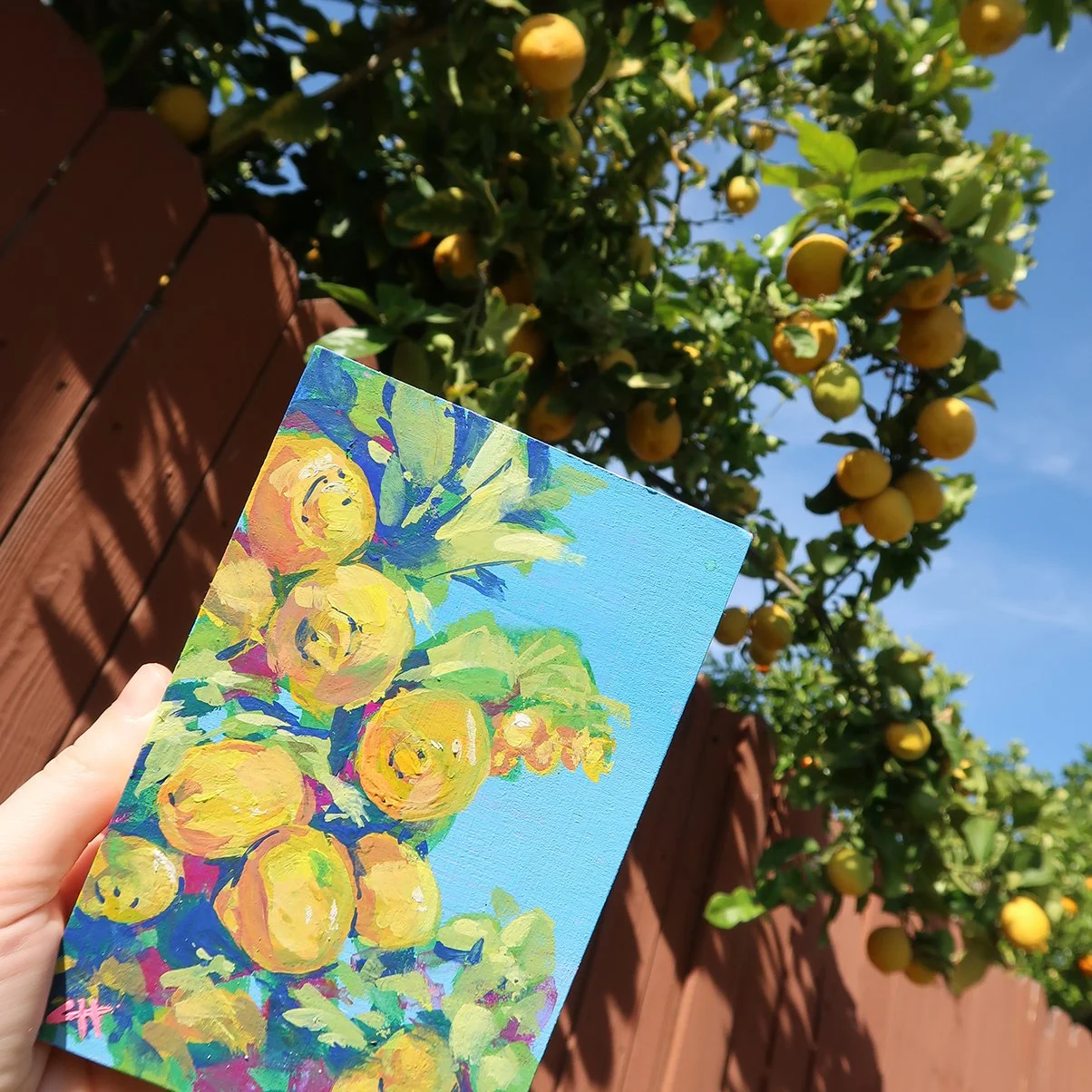 thelemontree_callistahooper.JPG