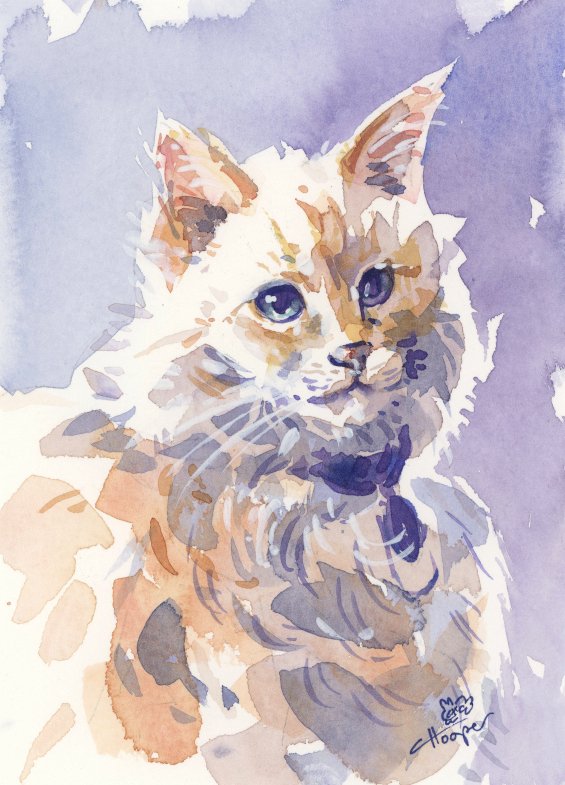 portrait_gmomcat_callistahooper_sm.jpg