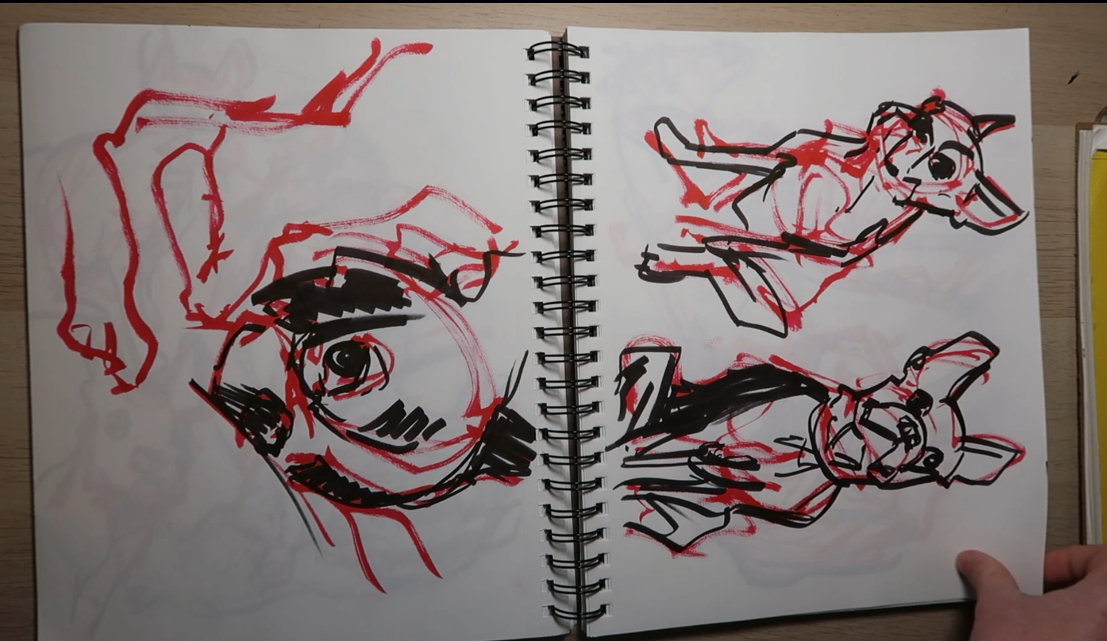 animalsketchbook_61s_callistahooper.png