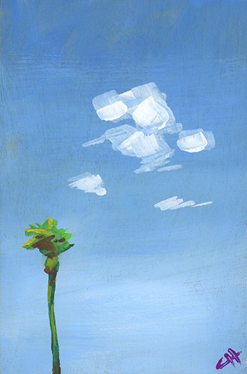 skymidapril_sm_callistahooper.png