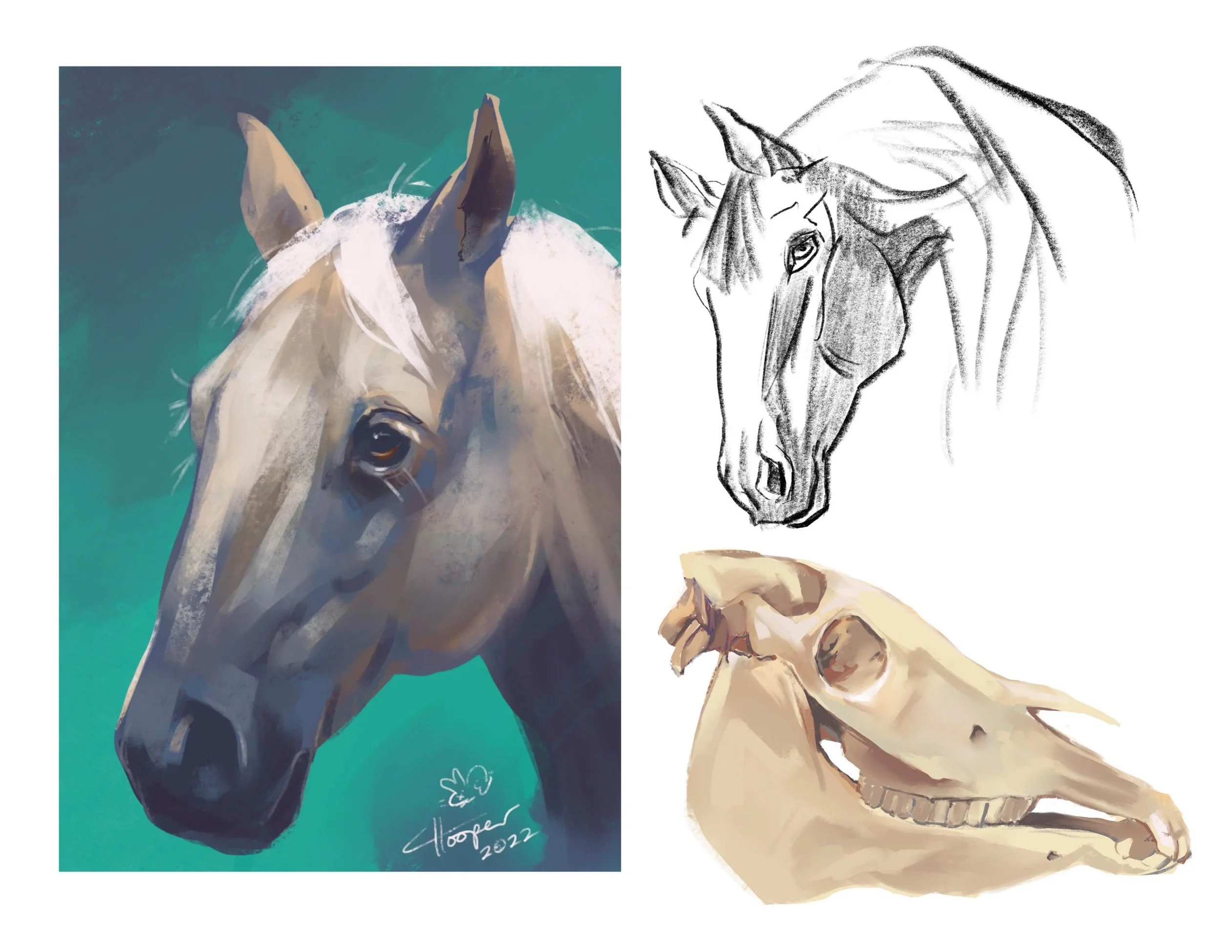 horsestudies_callistahooper.jpg