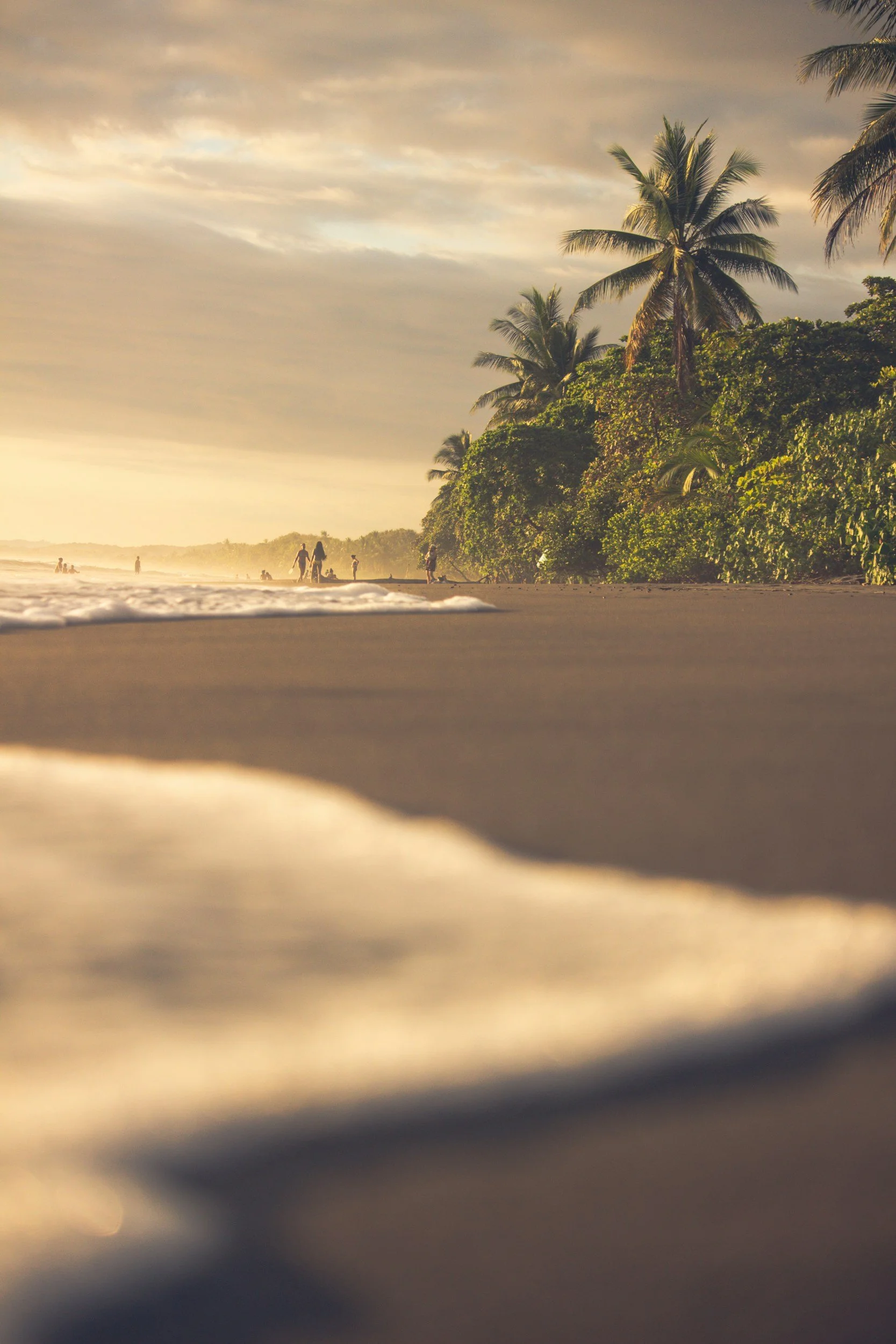 Sunset view on a beach with palm trees, People walking and relaxing, and a cloudy sky.