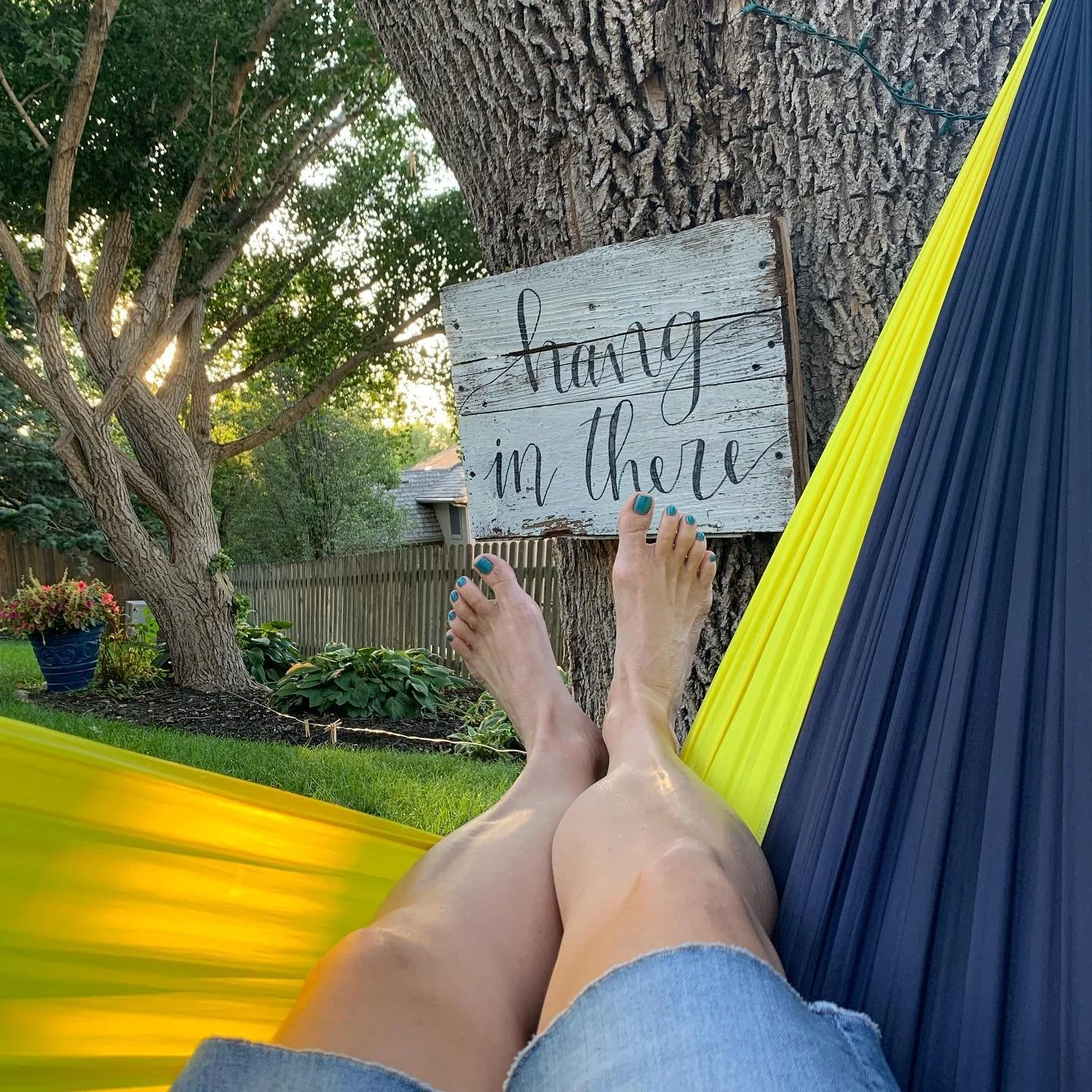 Person lying in a hammock held between trees in a backyard, holding a wooden sign that reads 'hang in there,' with a garden, potted plants, and a wooden fence in the background.