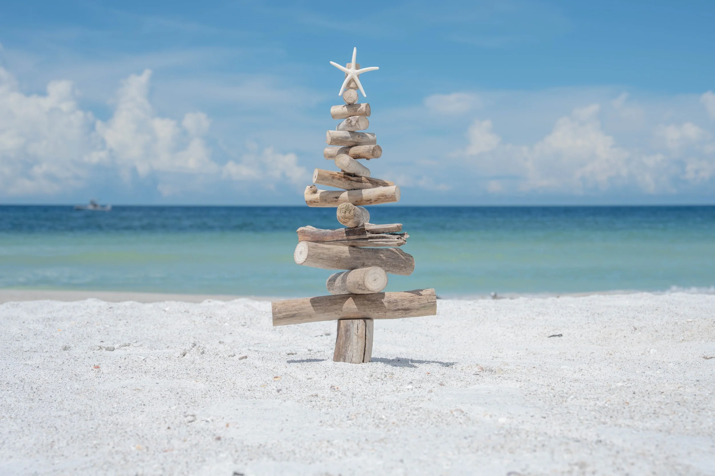 Driftwood Christmas Tree on Indian Rocks Beach, Clearwater, Florida