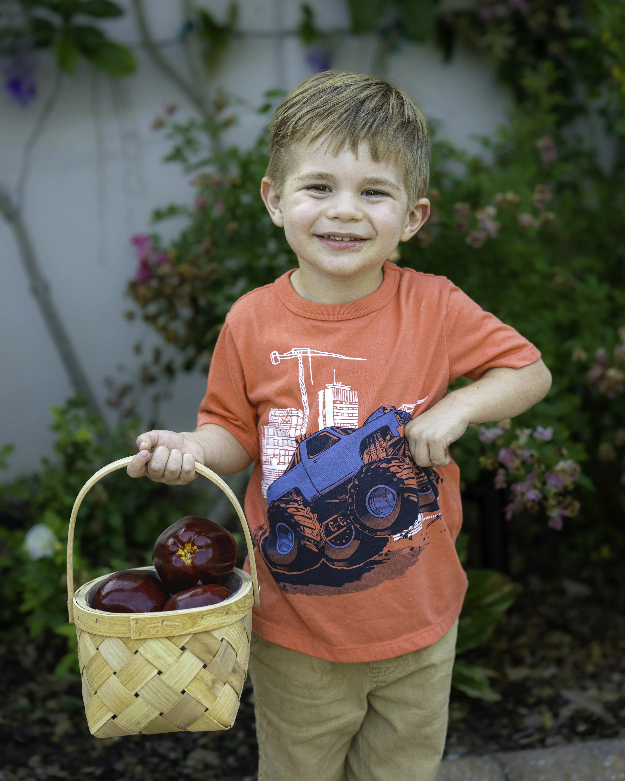 A young boy with light brown hair, wearing an orange T-shirt with a graphic of a ladder truck, is holding a basket of shiny red apples outdoors. The background features green and pink flowering bushes.