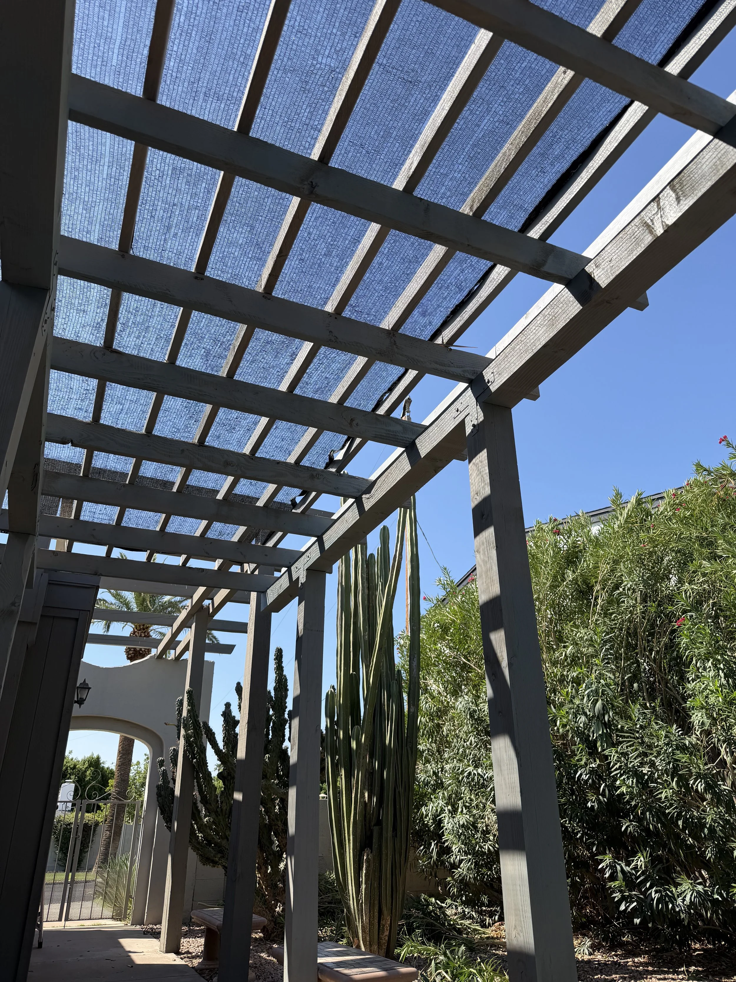 Underneath a wooden pergola with a netted roof, a lush garden with tall cactus plants and other green foliage is visible against a bright blue sky.