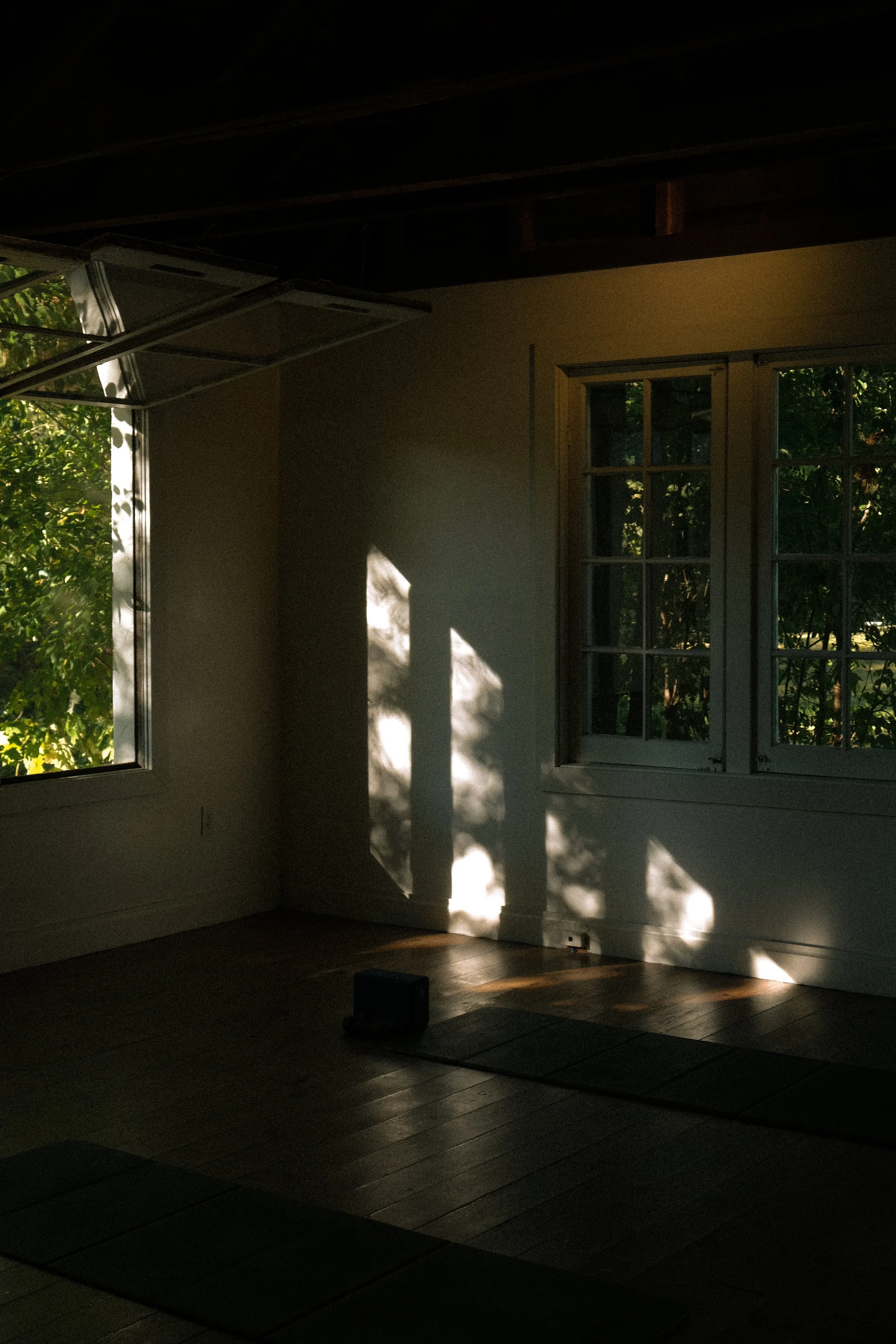 Sunlight streaming through windows illuminating a room with hardwood flooring and shadows on the walls.