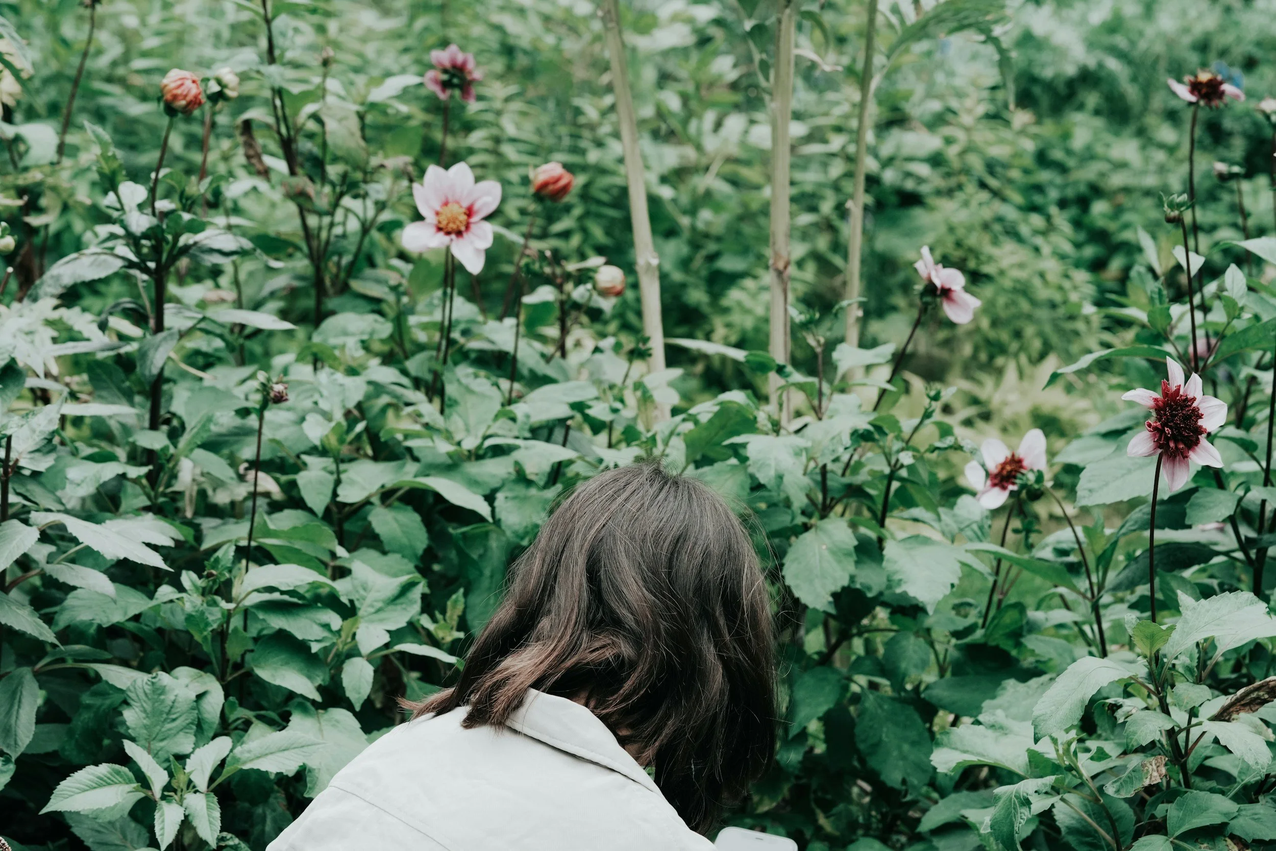 Person with dark hair wearing a white jacket facing away, in a lush garden with flowering plants and greenery.