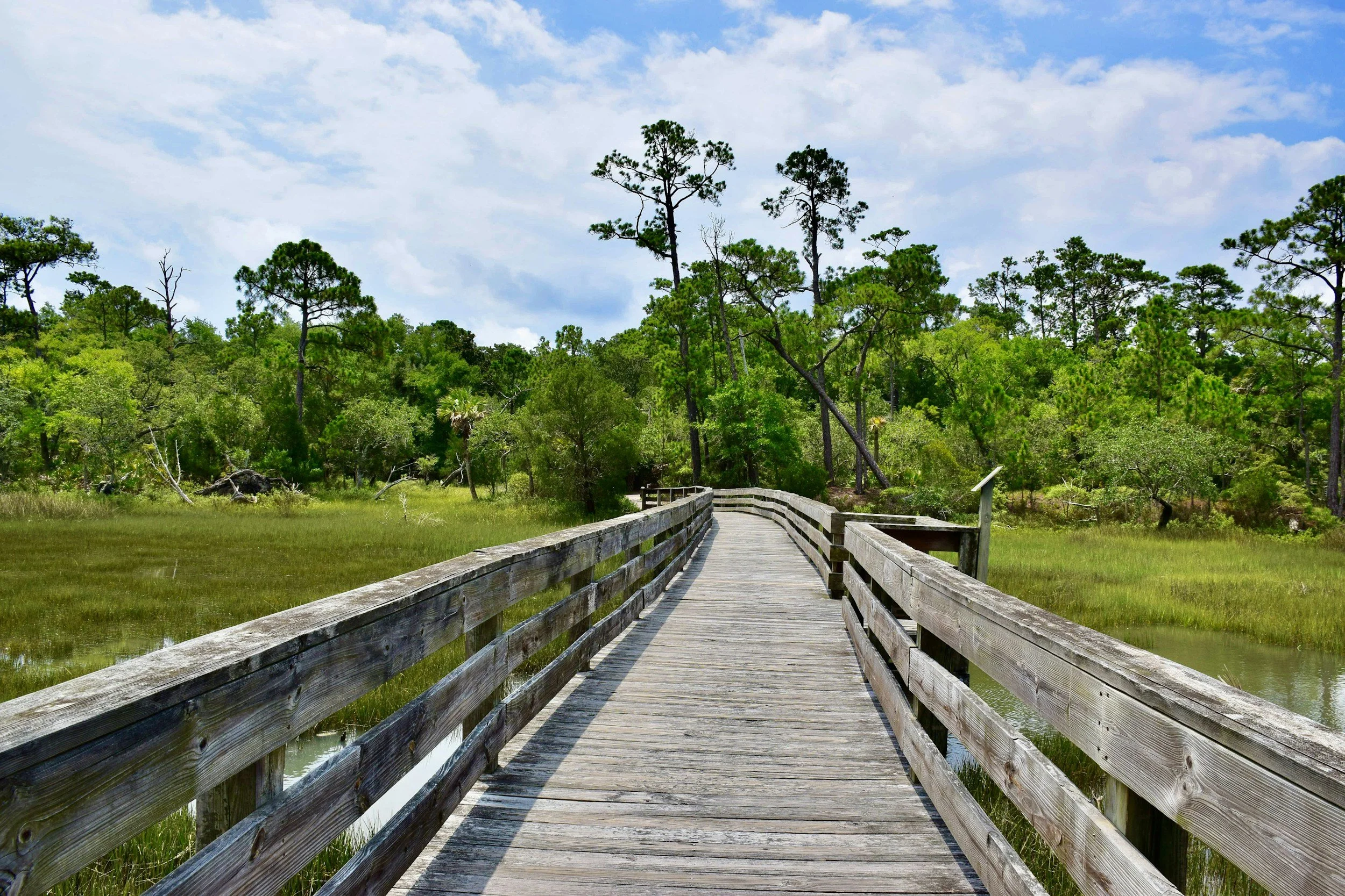 A wooden boardwalk stretches over grassy wetlands, leading through a forested area with tall pine trees under a partly cloudy sky.