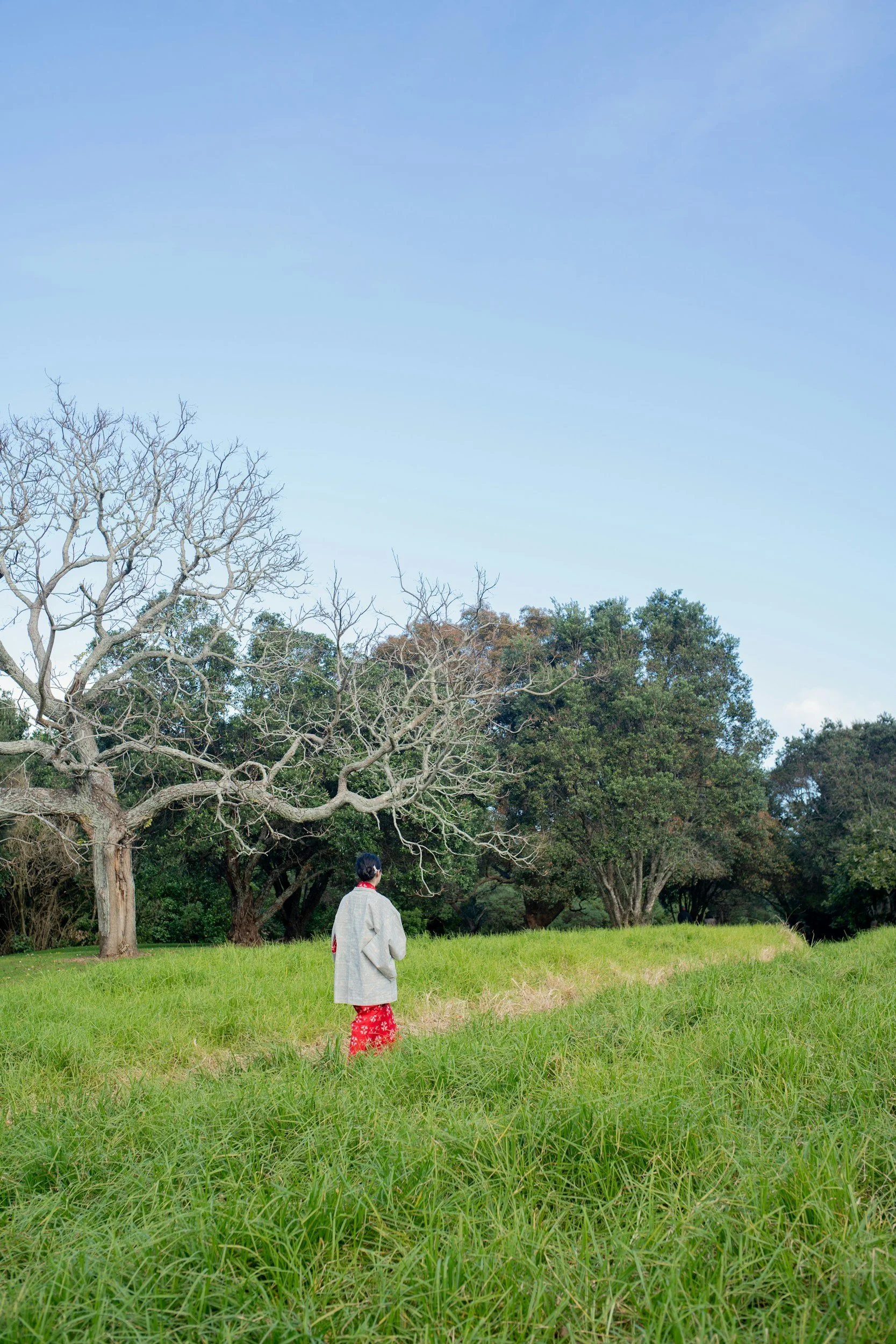 A person dressed in traditional Japanese clothing standing on green grass in a park with leafless and green trees under a blue sky.