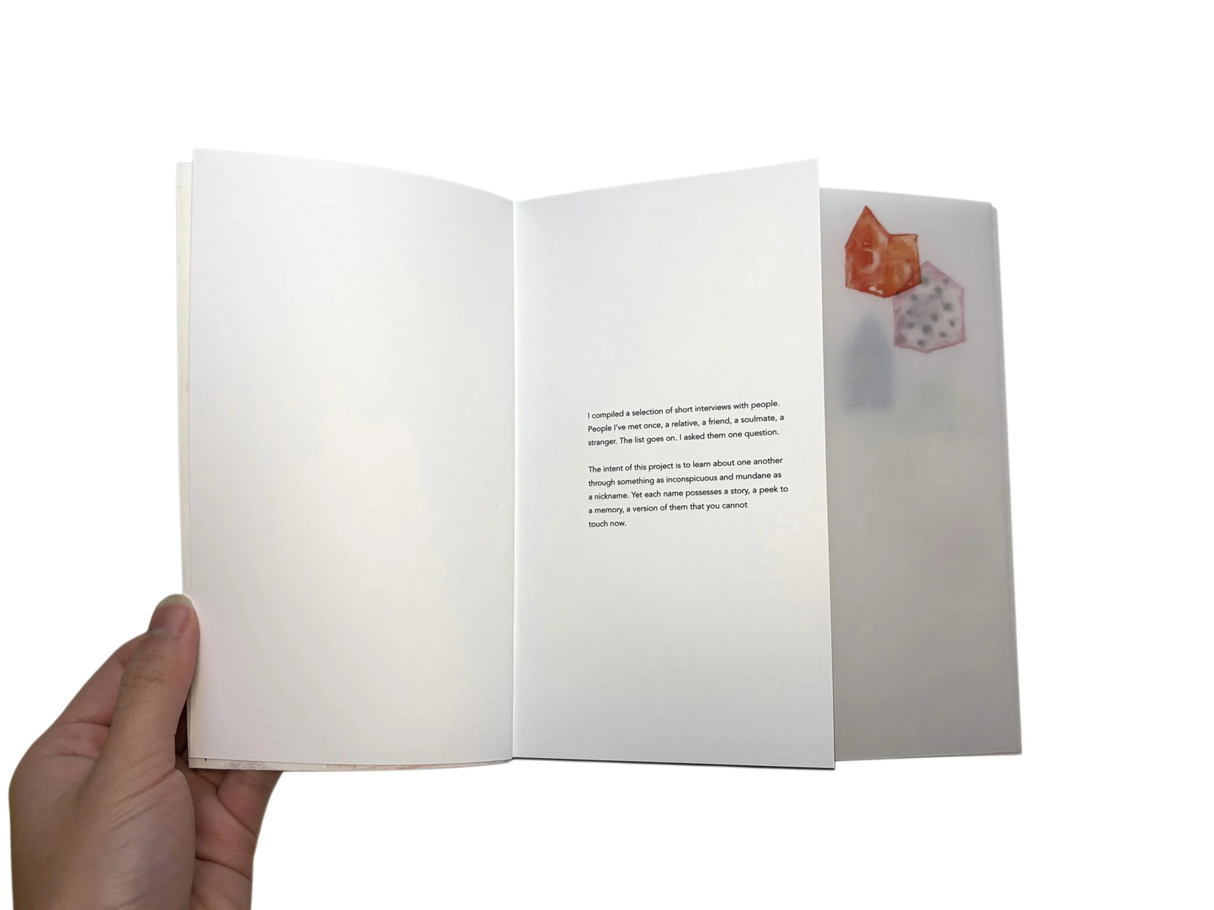 E32B7F3A-A208-42CE-9D64-60A99F7FF8BB.jpg