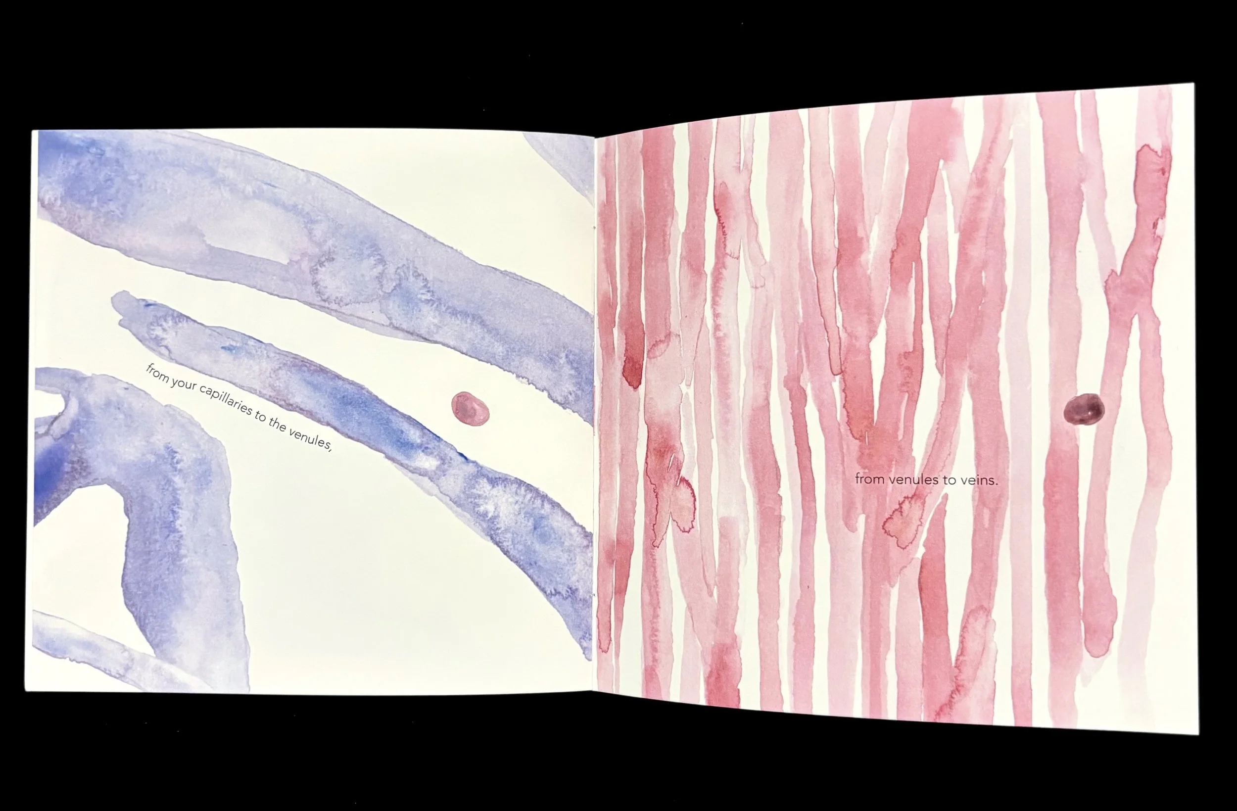 HB spread 4.jpg