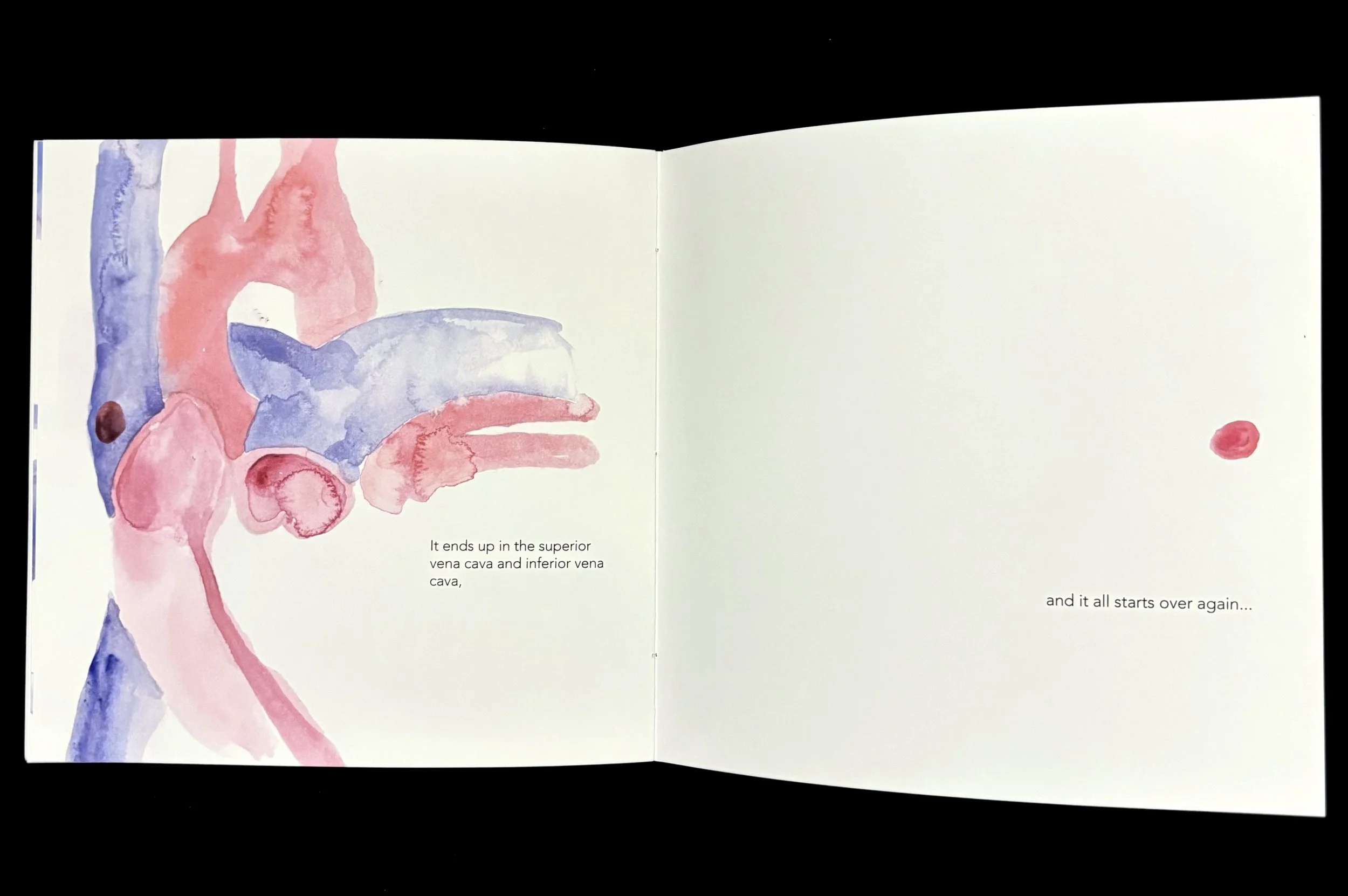 HB spread 5.jpg