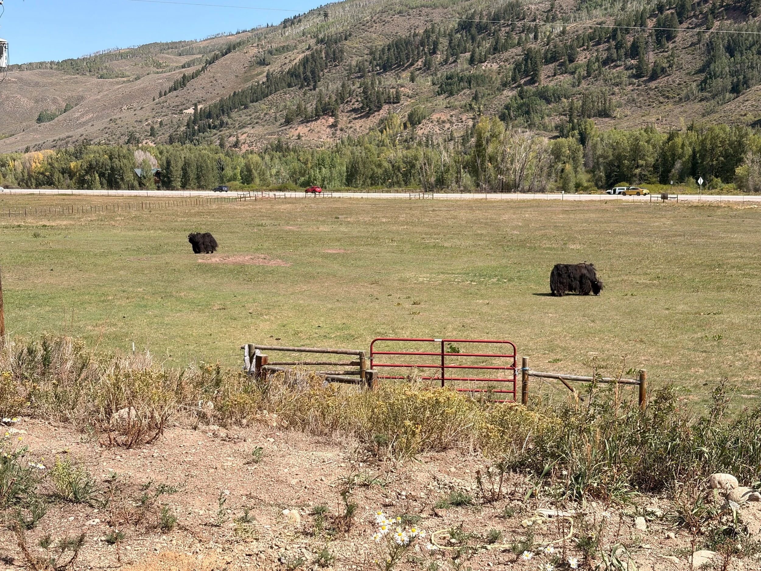 Oxbow Ranch_Sept 2026_Drama_-18.jpg