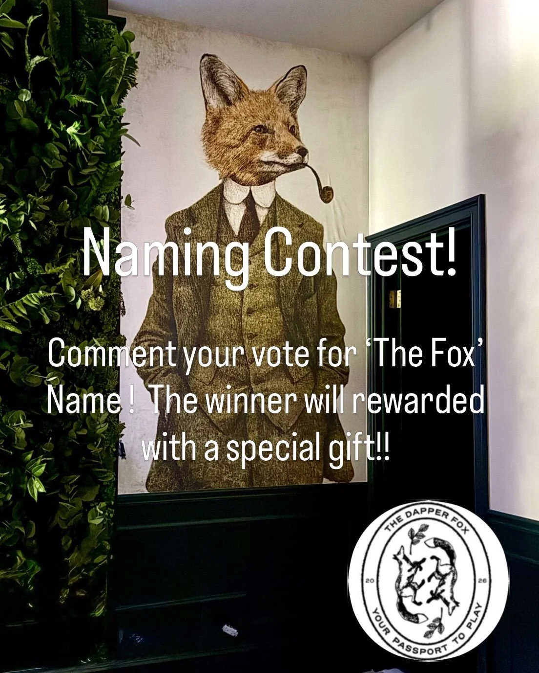 Naming CONTEST! Comment your vote for the name of this handsome fellow and we&rsquo;ll announce the winner along with a prize for naming him!