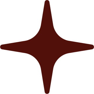 A red, four-pointed star shape on a black background.