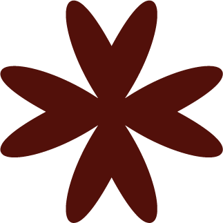 A stylized brown flower with eight petals on a black background.