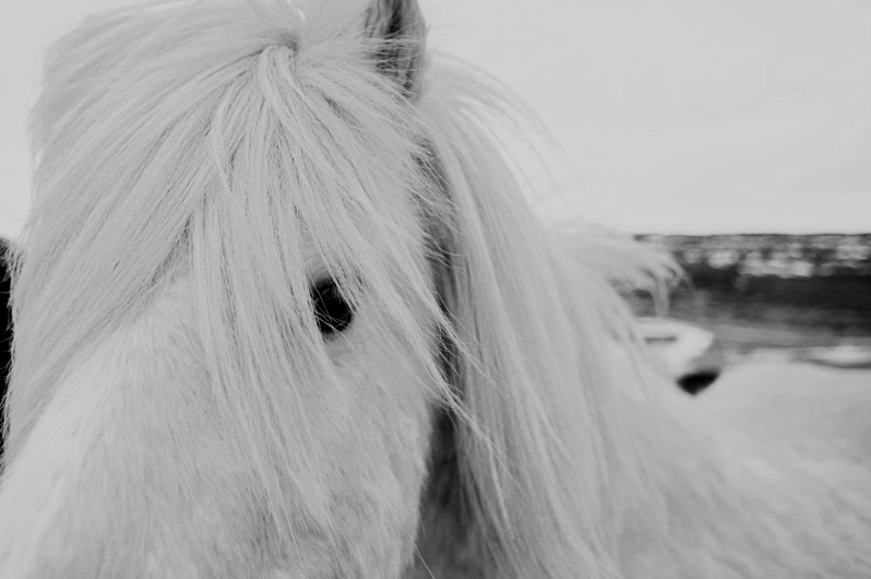 Screenshot+2026-09-15+at+11.20.20%E2%80%AFAM.png